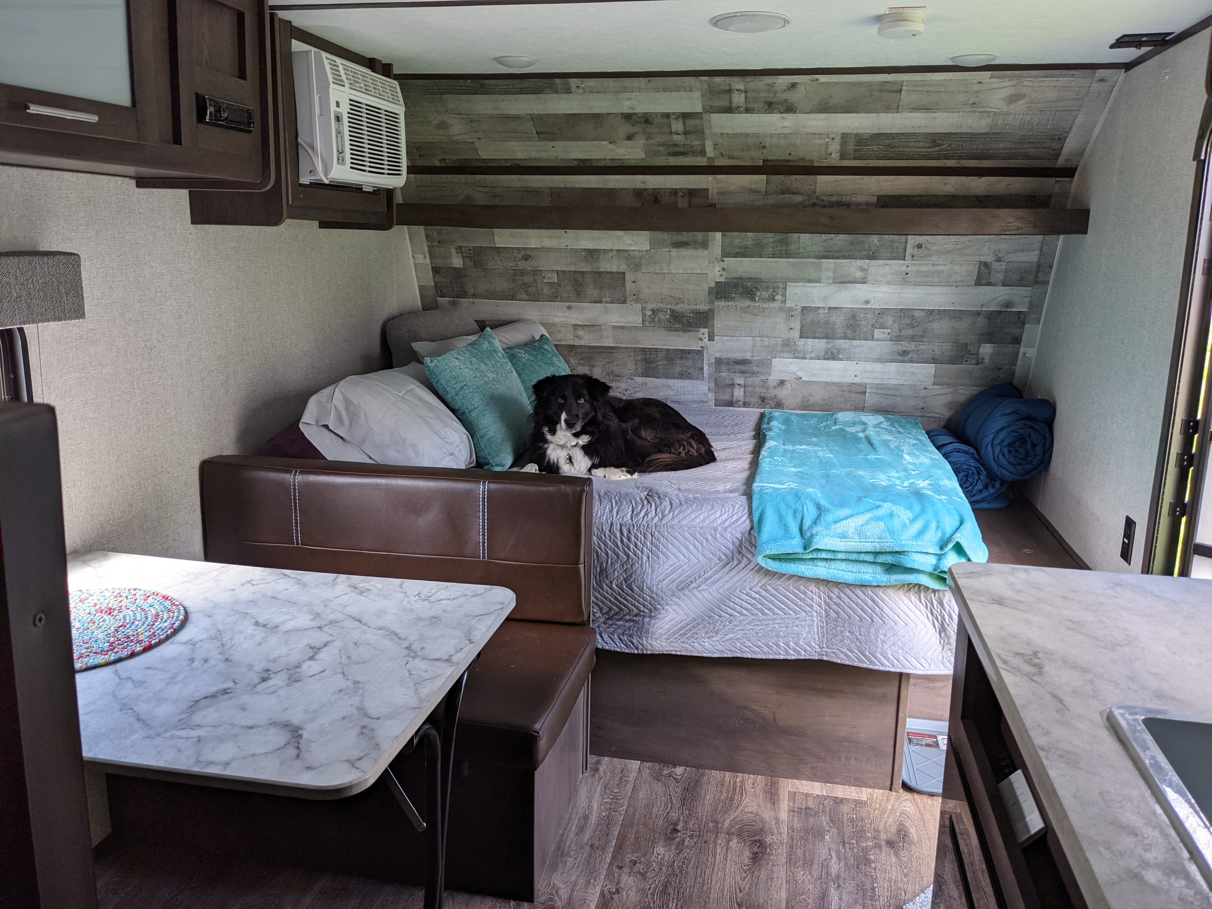 RV rental interior: a comfy dog rests on the bed, next to a dinette. Cozy wood-paneled walls in this compact travel space.. Coleman Other 2021