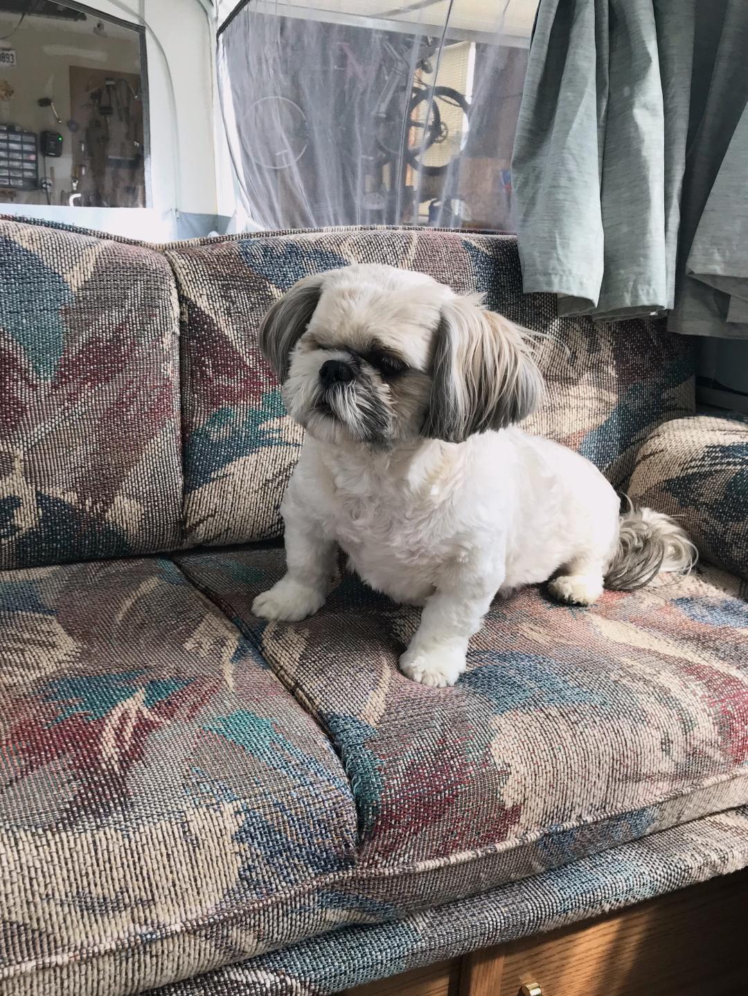 Henry comes with us everywhere we go.. Coleman Other 2000