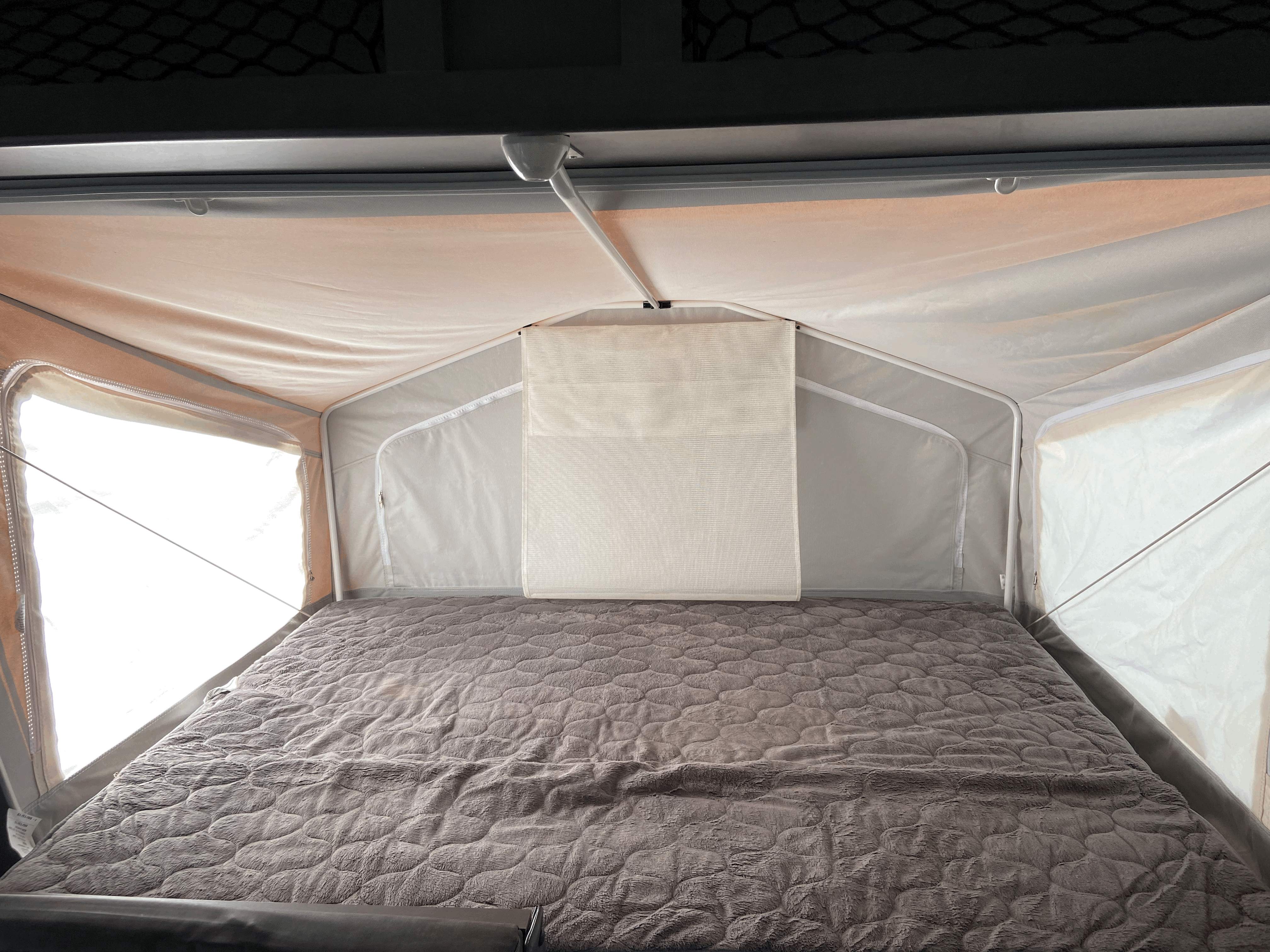 Flagstaff Shamrock 2020