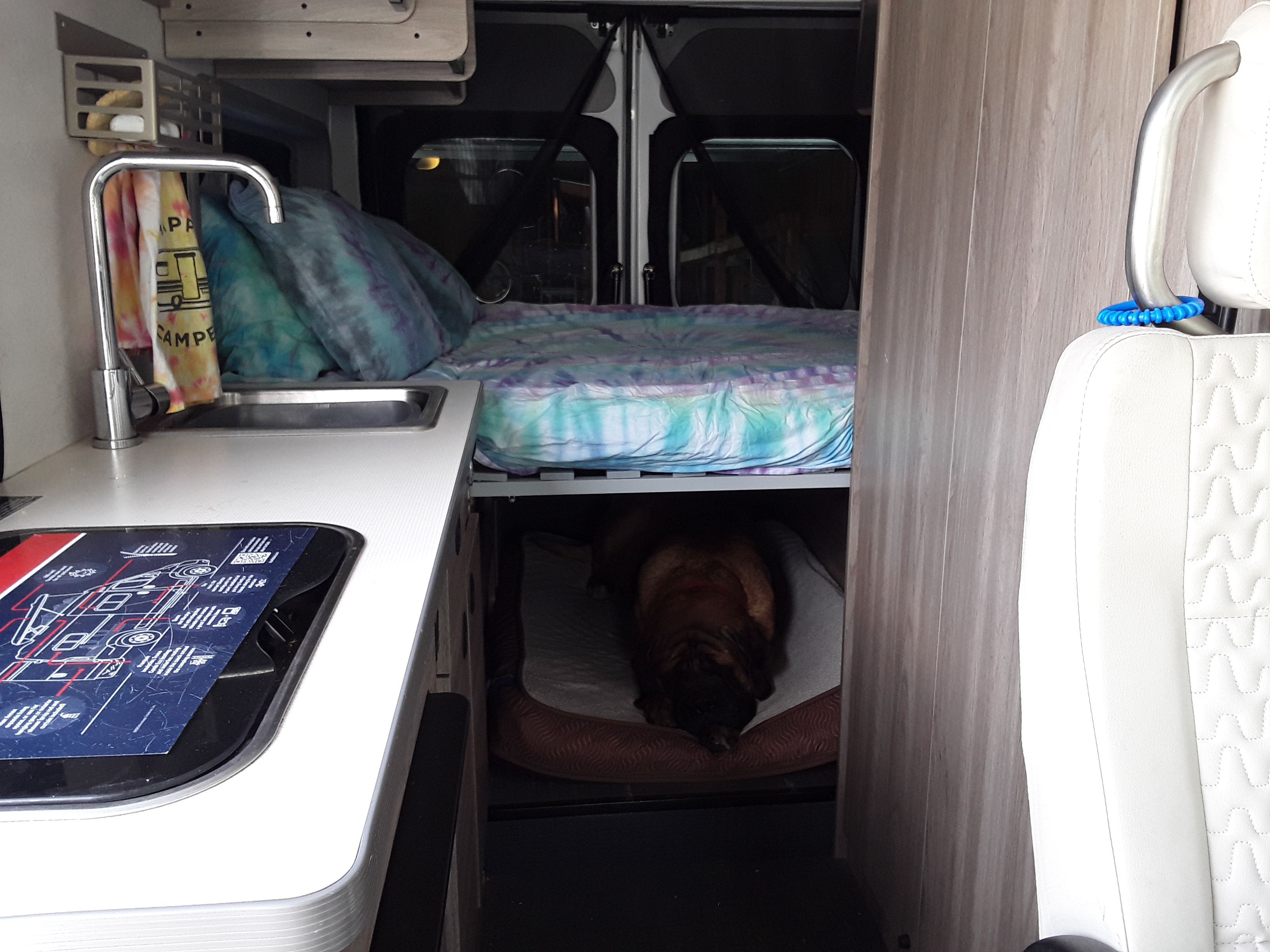 Cozy rv rental: a kitchen, comfy bed with tie-dye sheets, and a sleeping dog in its bed below.. Winnebago Solis 2021