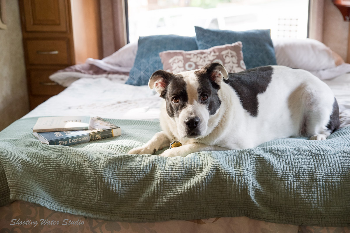 Winnebago Access 2012