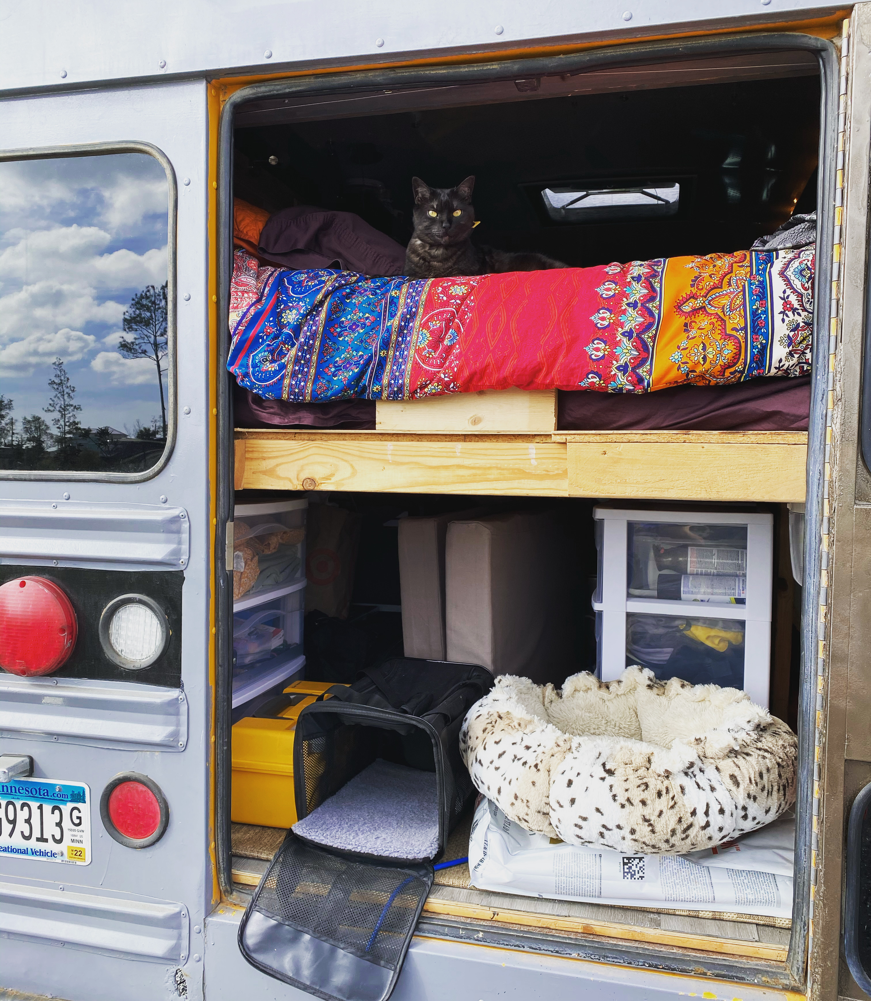 This RV rental features a cozy setup for a cat, lounging on the bunk bed, with storage and pet gear organized below.. Ford E450 2005