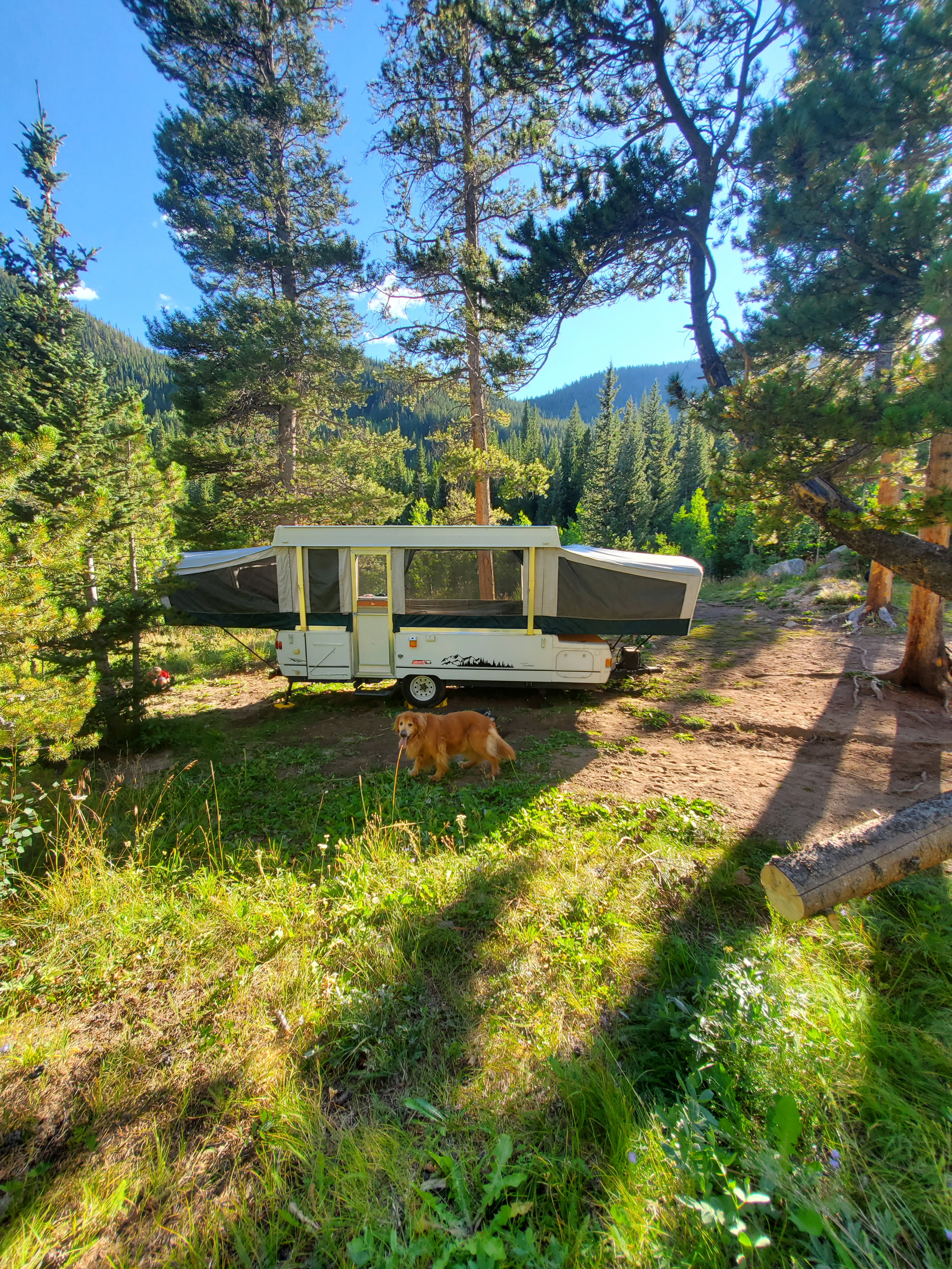 Folding trailer RV Rental 