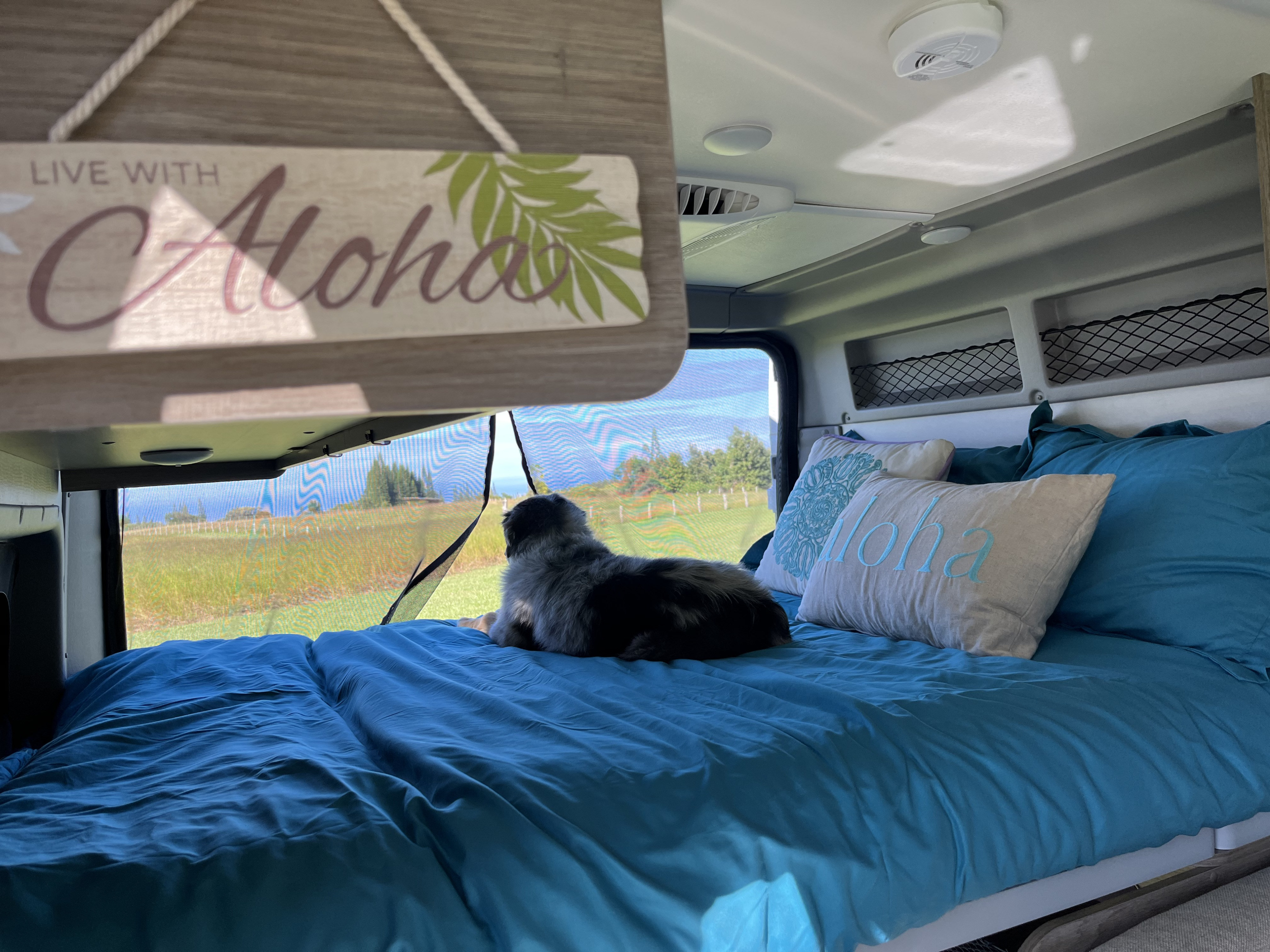 PARK ANYWHERE AND TAKE IN OCEAN VIEWS FROM THE COMFORT OF YOUR QUEEN SIZE BED- COMFORTABLY ACCOMMODATES EVEN TALL FOLKS!. Winnebago Solis Pocket 2022