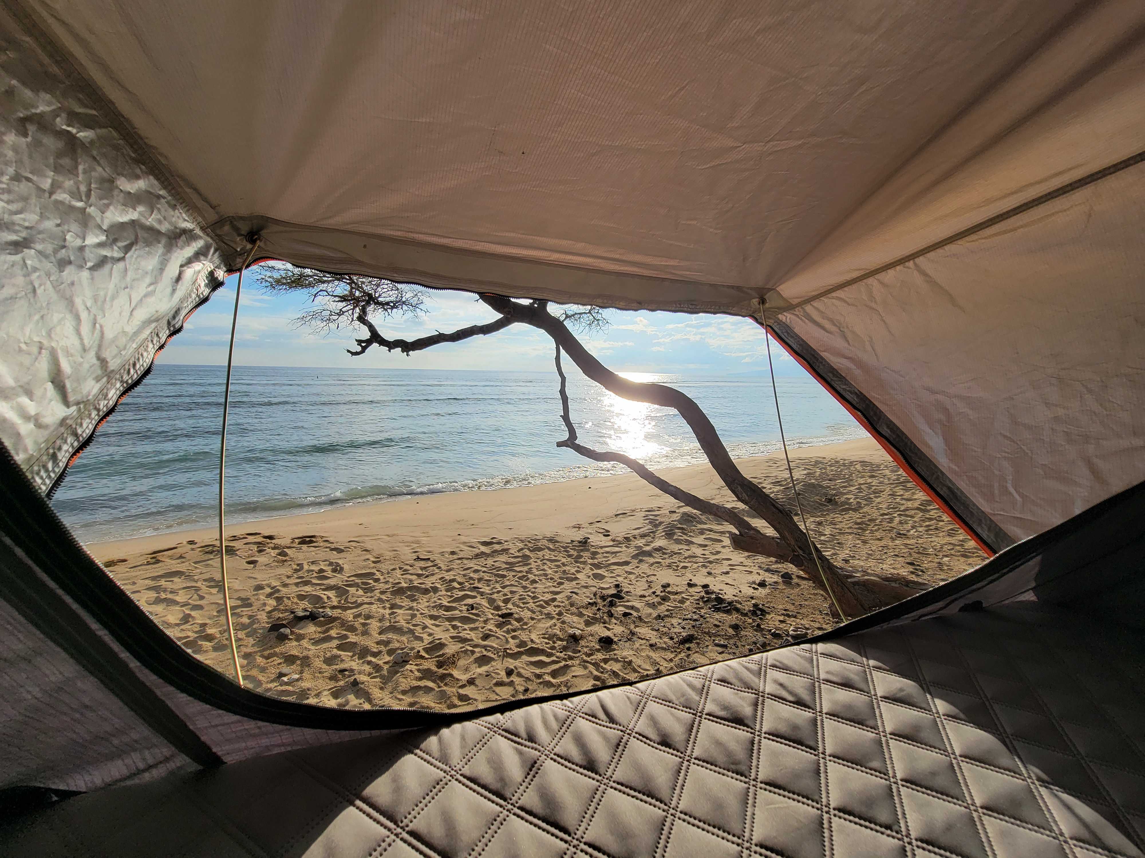 Comfy RV rental tent offers beachfront views: sandy beach, tranquil ocean, and a unique tree branch.. Toyota Tacoma 2017