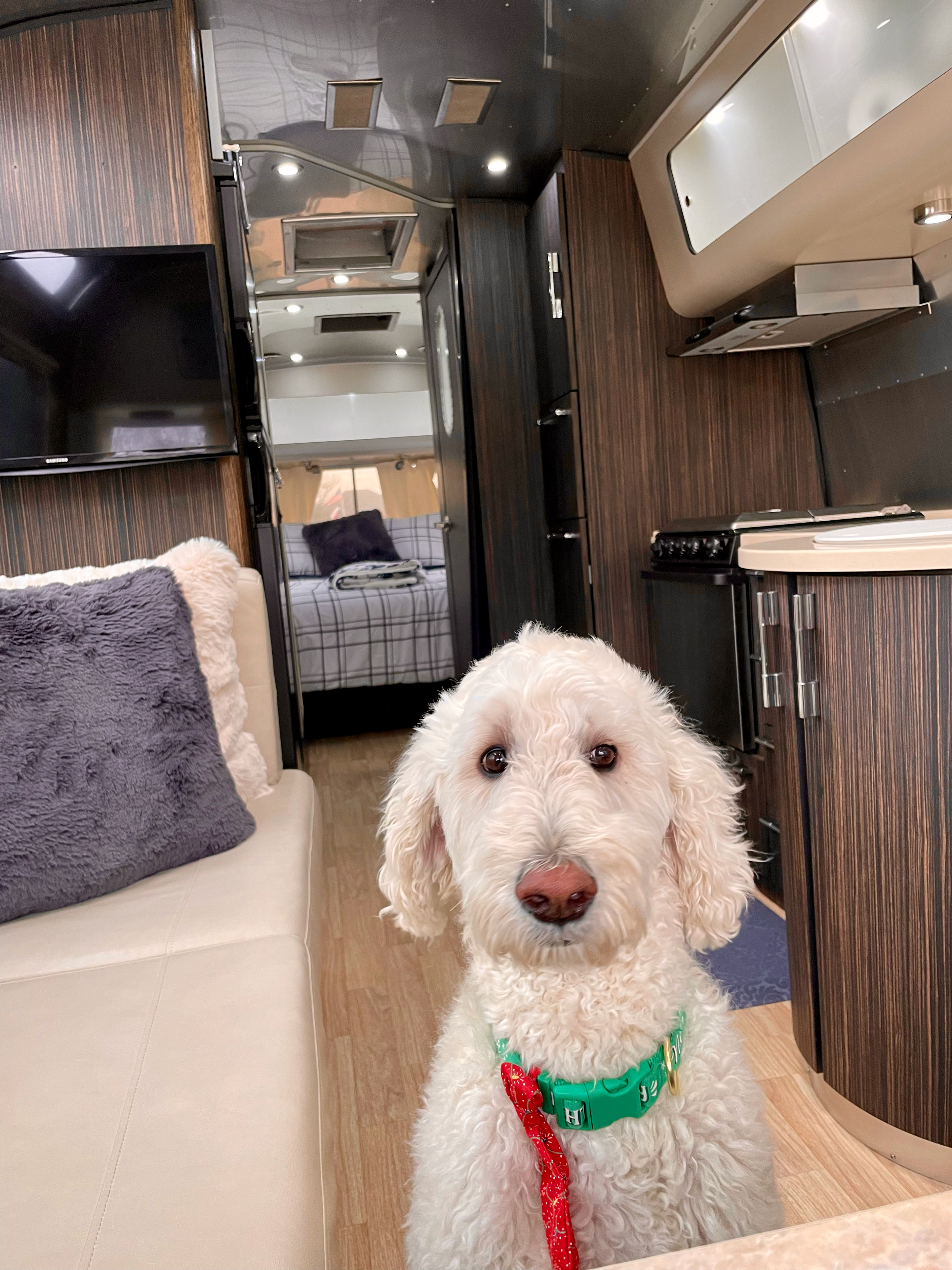 Travel trailer RV Rental 