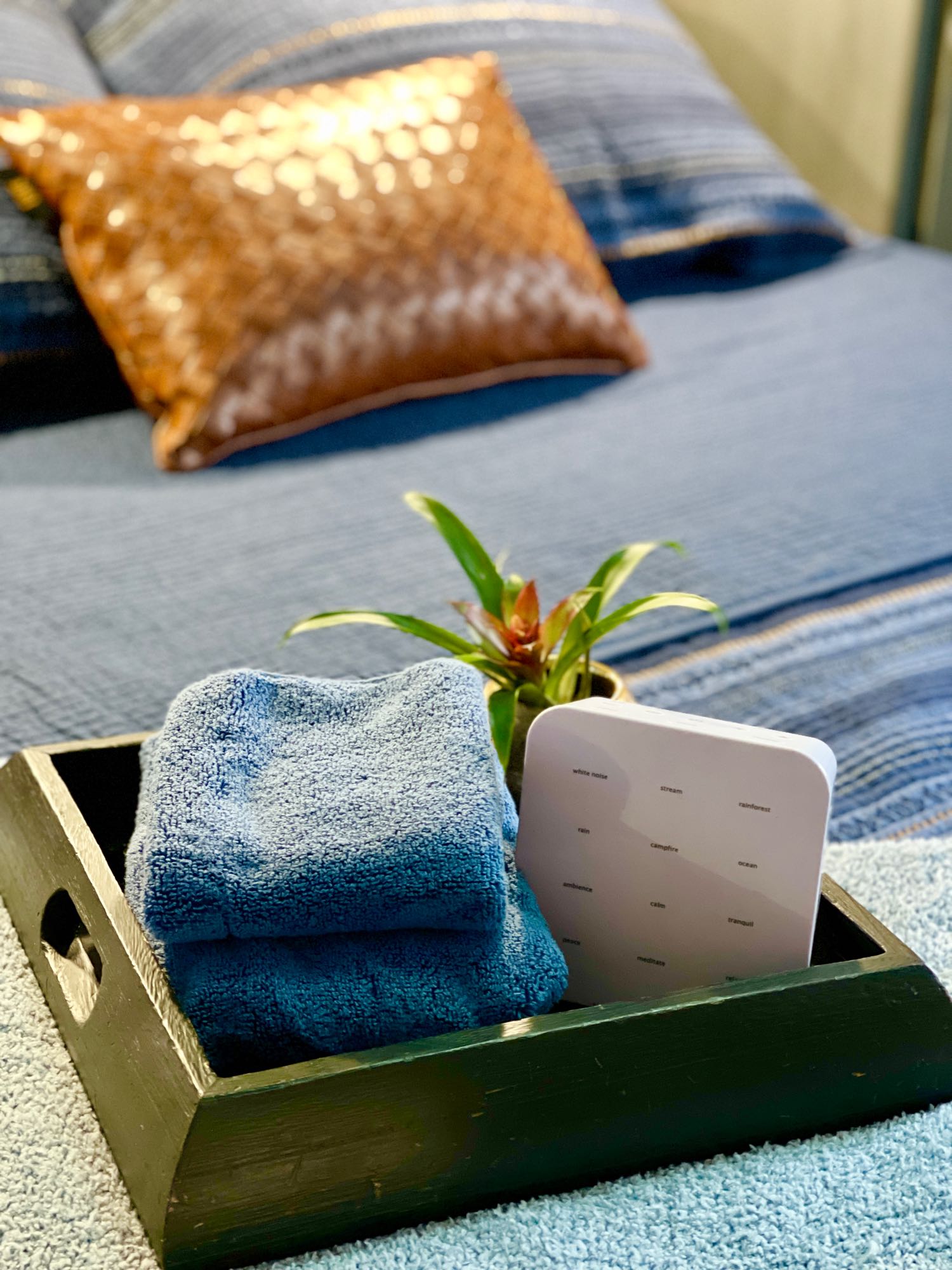RV rental comfort: A sound machine, fresh blue towels, & plant on a tray by a blue bed create a tranquil space.. Dutchmen Aspen Trail 2022