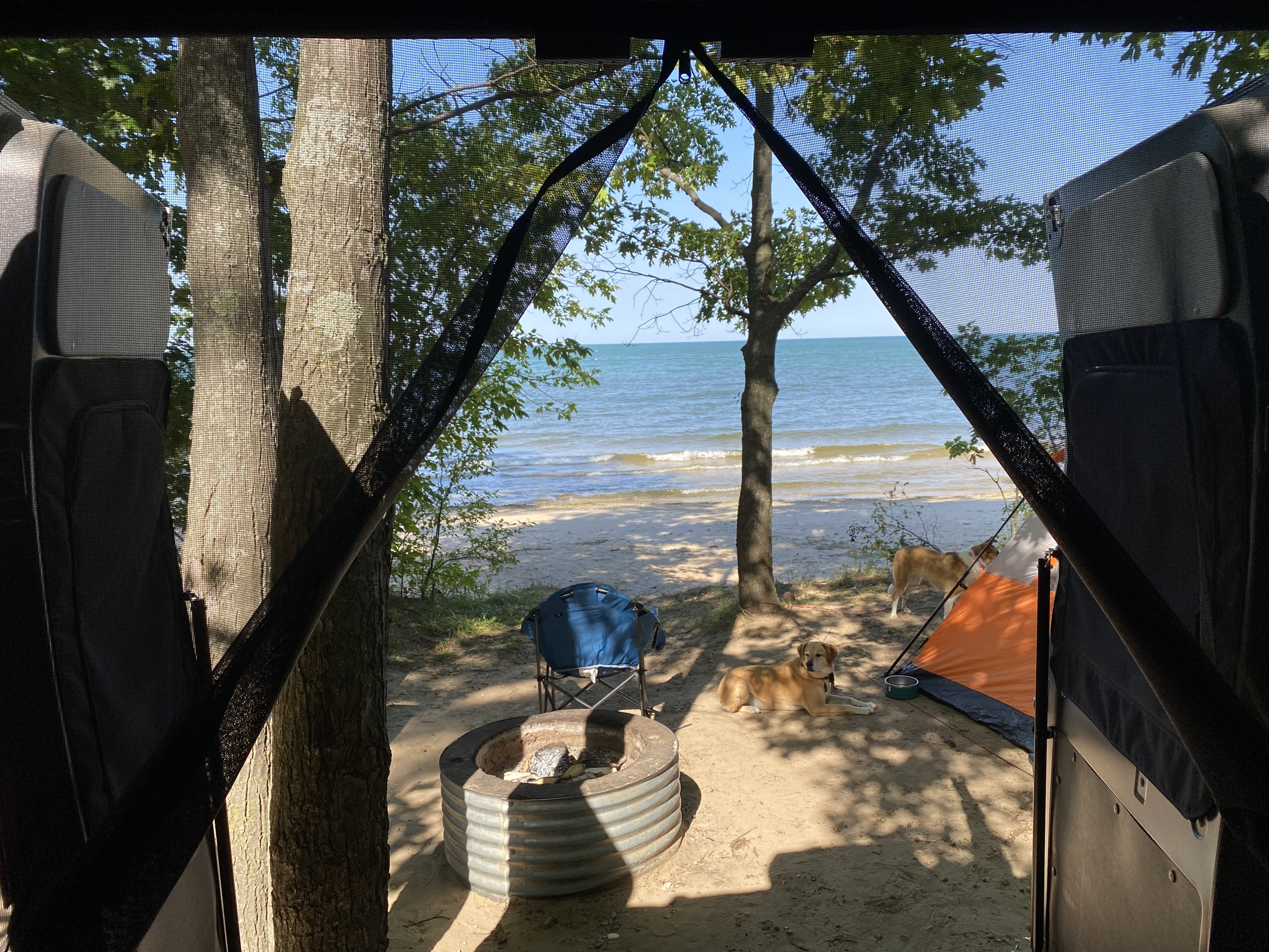 This is the view from the Murphy bed, the zip up screen can be used to keep bugs OUT and fresh air flowing. . Winnebago Solis 59 PX 2022