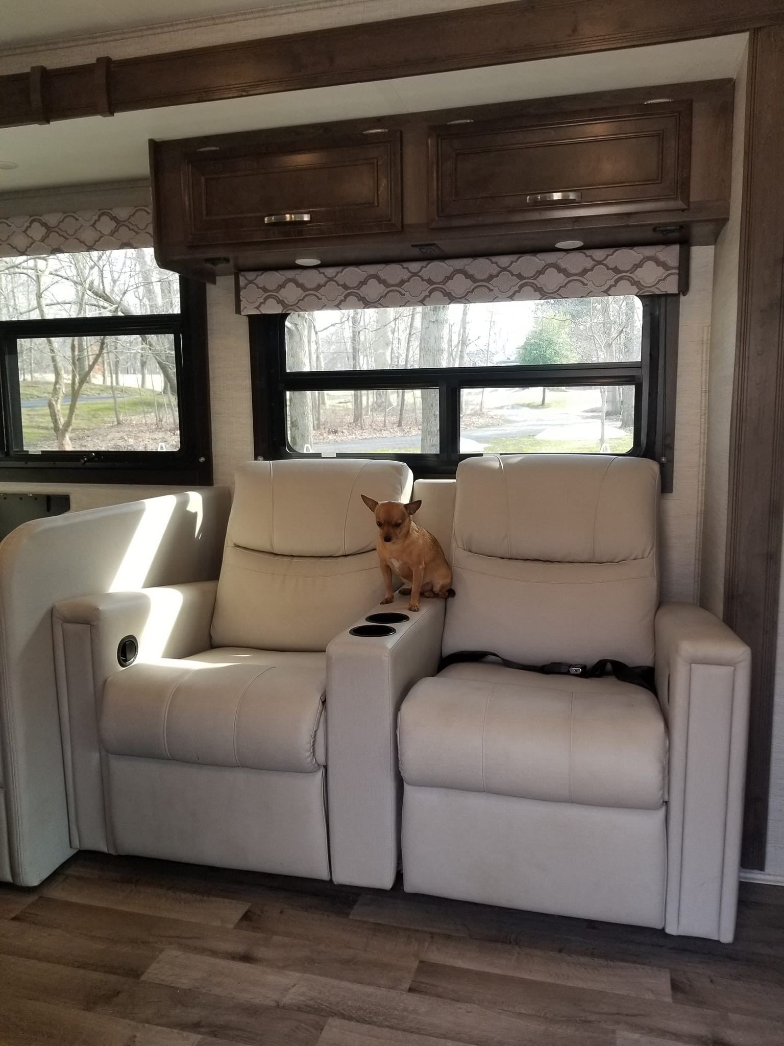 An RV rental's inviting interior: recliners, a small dog on a console, and scenic outdoor views through windows.. Jayco Redhawk 2021