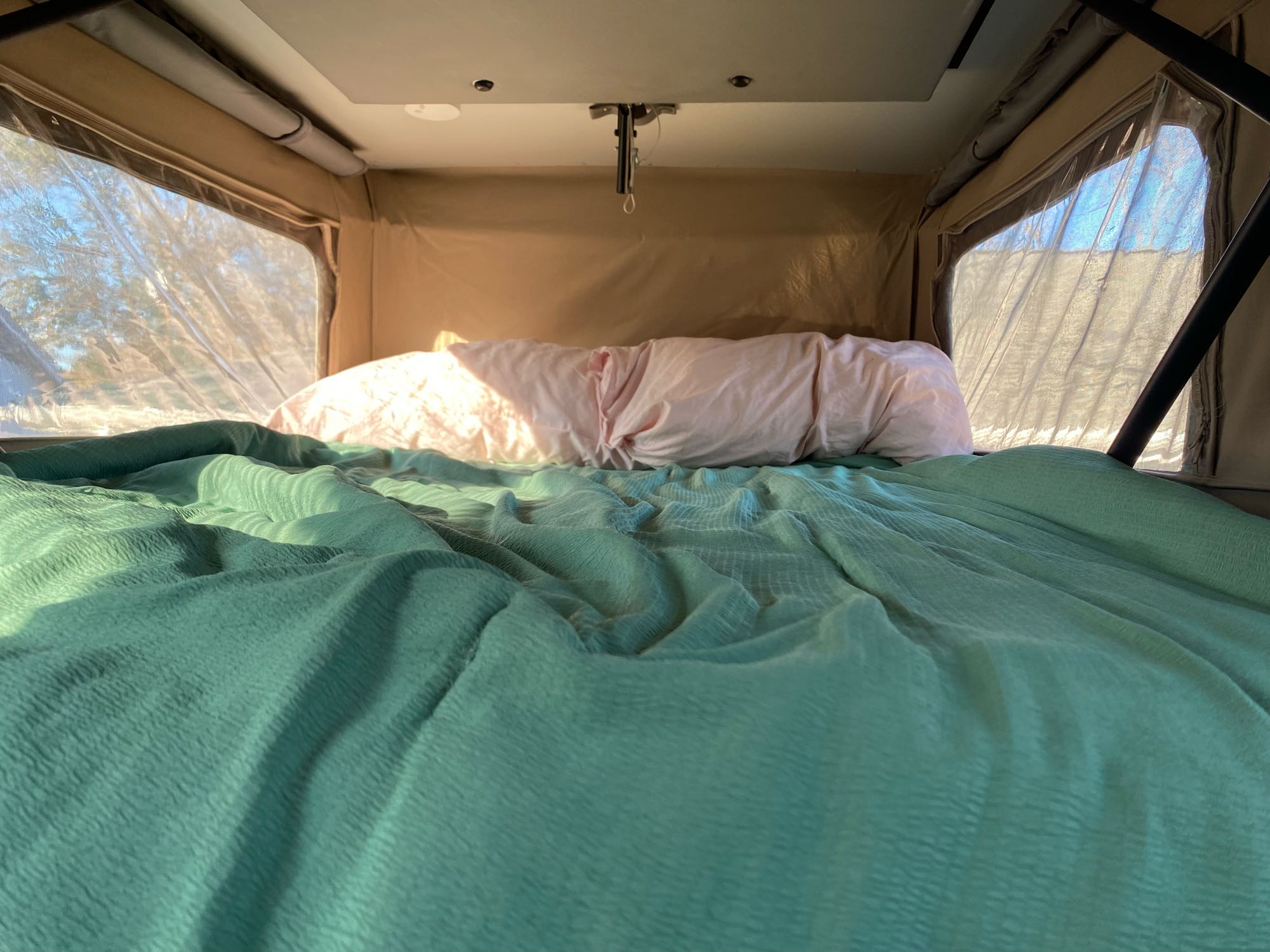 Cozy interior of an RV rental pop-up camper's bed, with a green blanket, pillow, and sunlit windows.. Sportsmobile Mercedes Sprinter 2500 2012