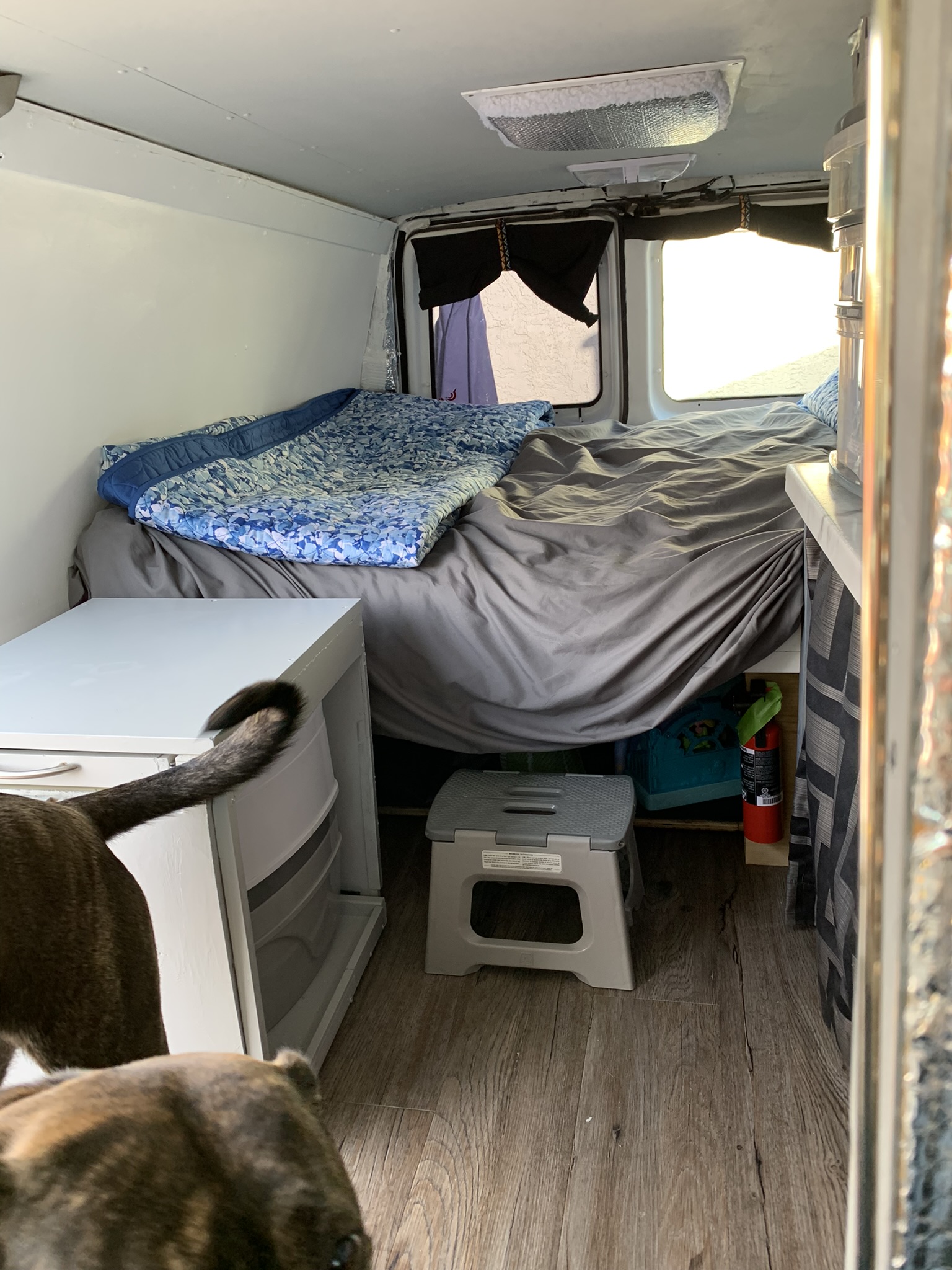 Cozy RV rental interior: a comfortable bed, smart storage, and two furry friends for road trip adventures.. Ford E350 Box Van 2005