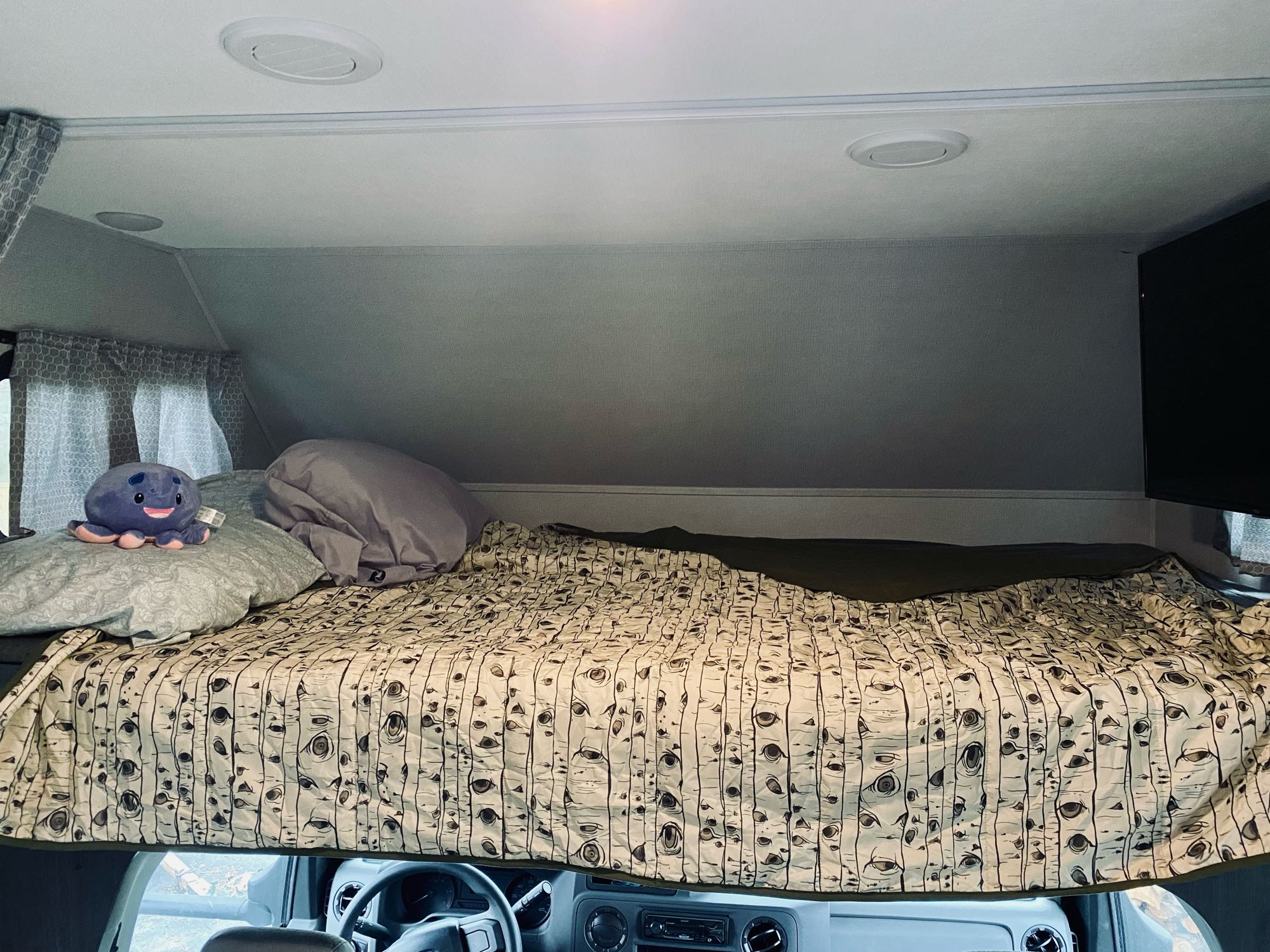 RV rental interior: A cozy cab-over bunk bed with a unique birch tree comforter and a plush toy octopus.. Forest River Sunseeker 3250DSLE 2022