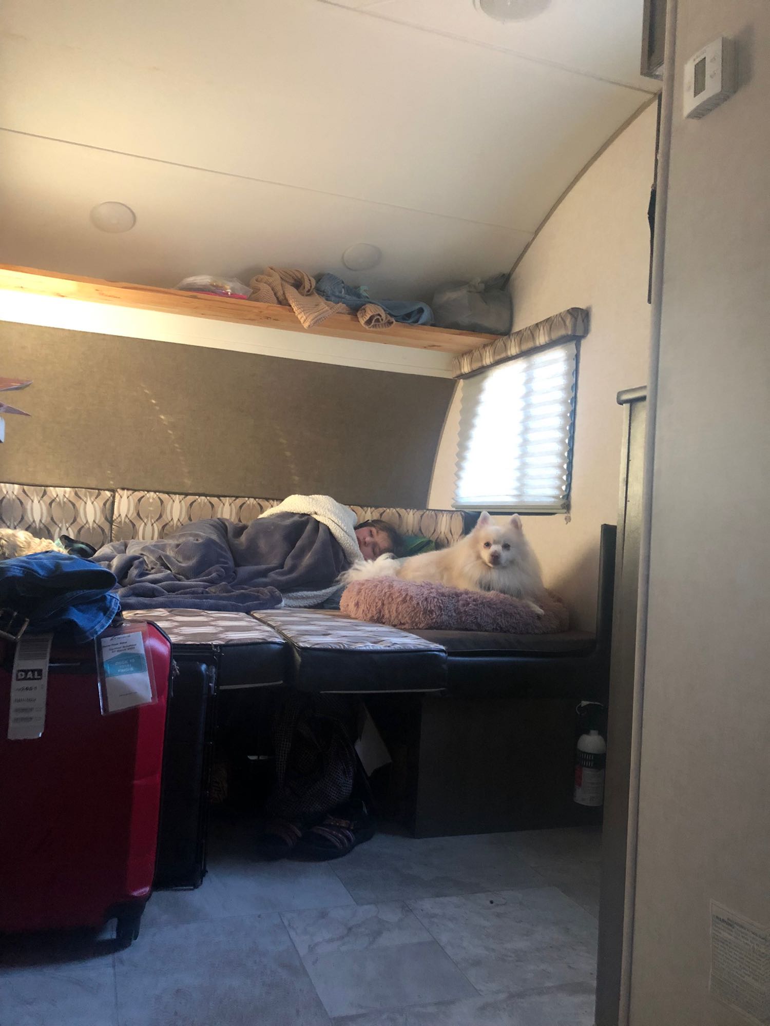 Cozy RV rental interior: A person naps while a fluffy white dog relaxes on its bed. Perfect for travel & rest.. Forest River Other 2017