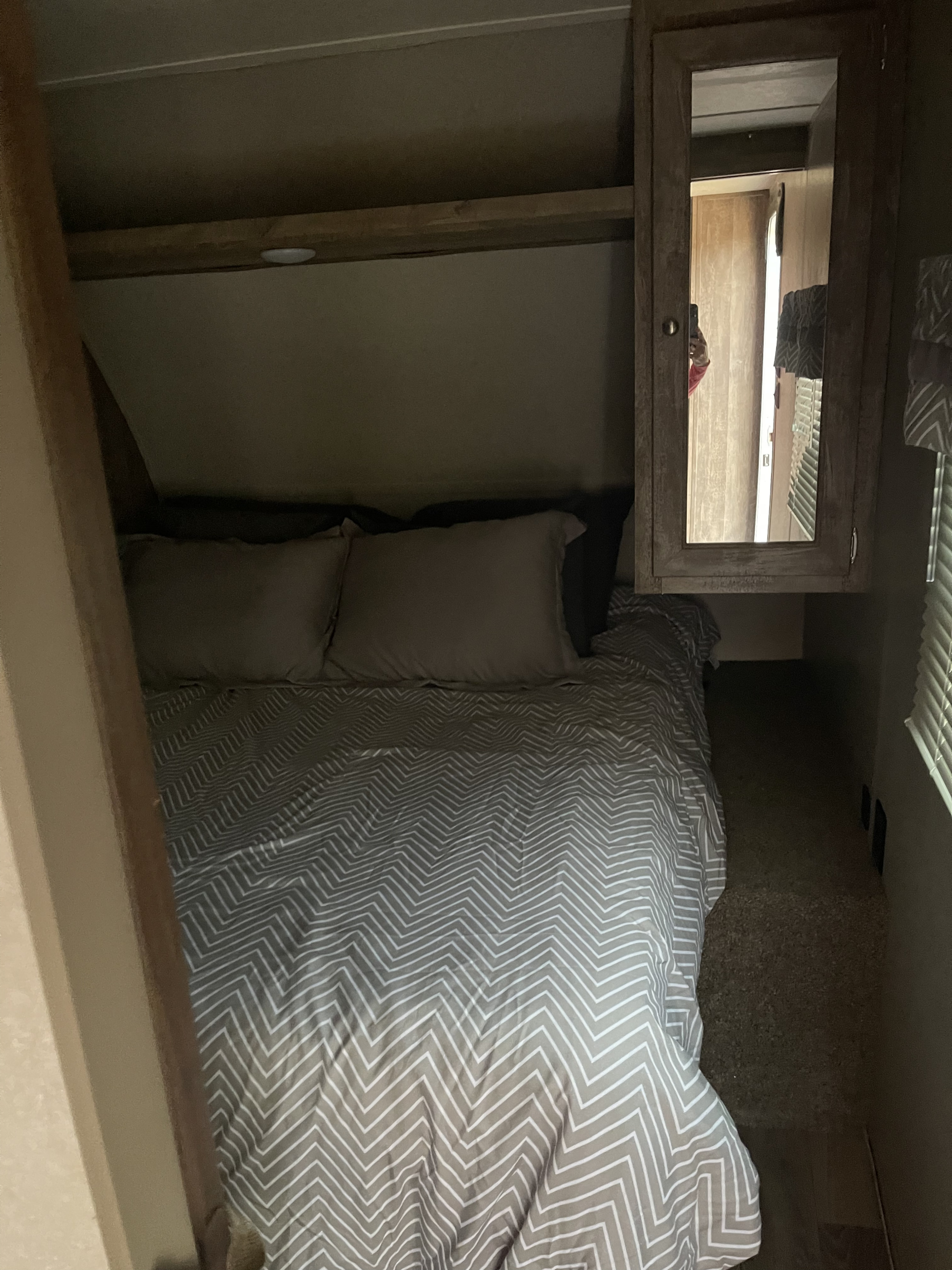 Palomino Real Lite 2019