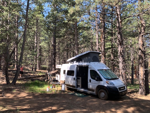 Enjoy nature with an RV rental. White camper van parked in a sunny forest clearing with pop-top up, a person and bicycle nearby.. Winnebago Winnebago 2022
