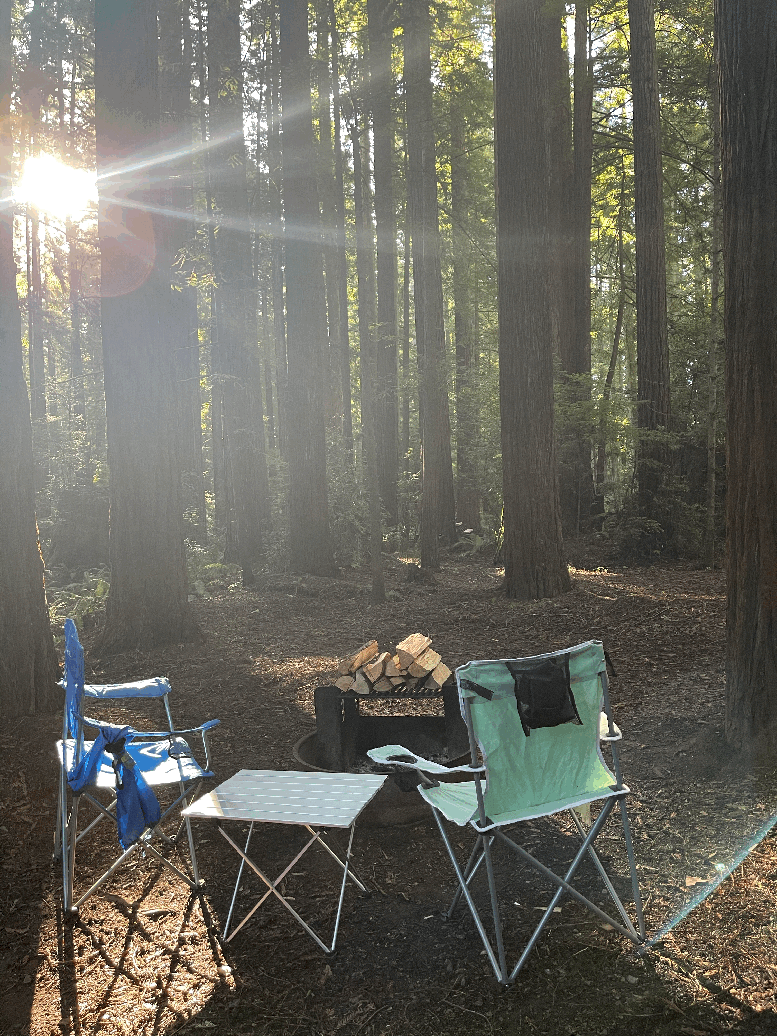 Travel trailer RV Rental 