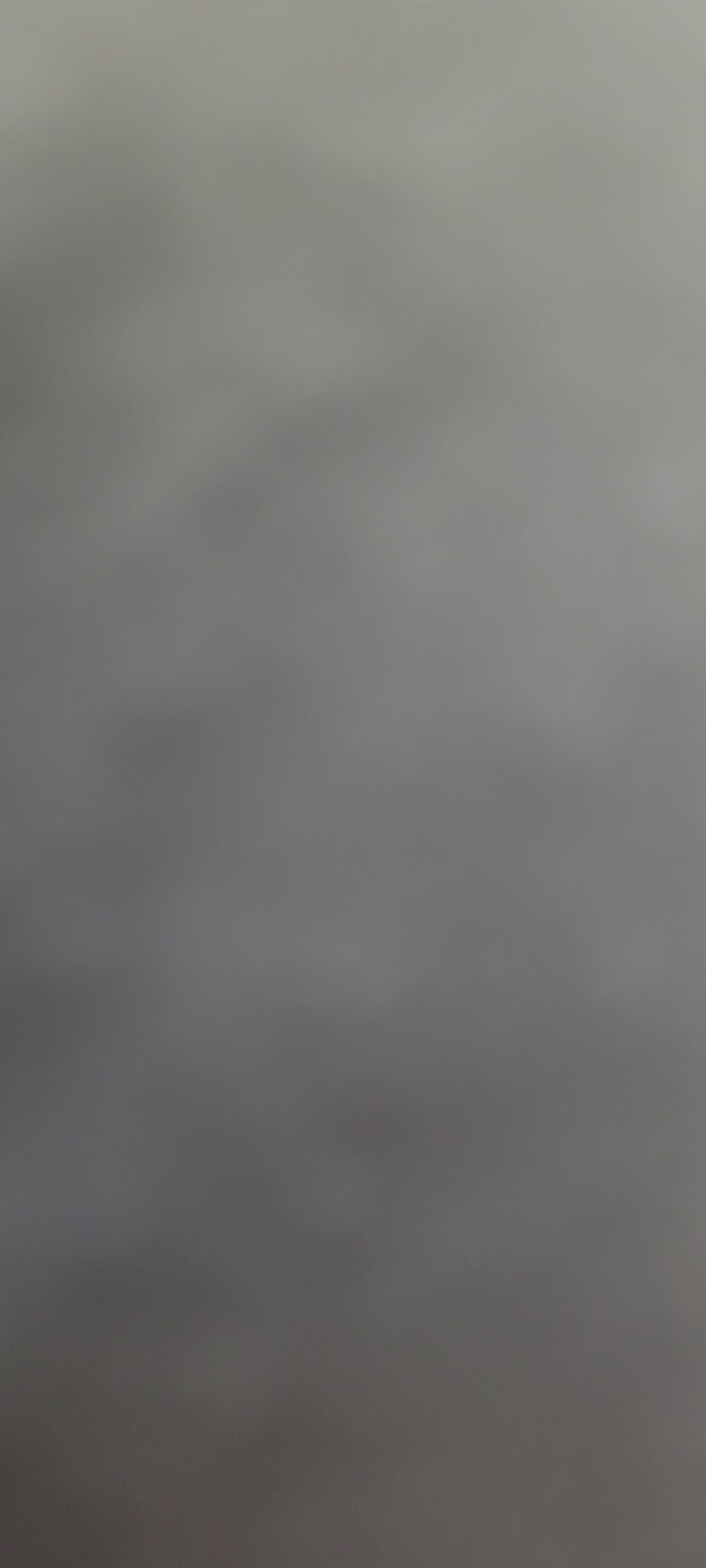 Owner Banner