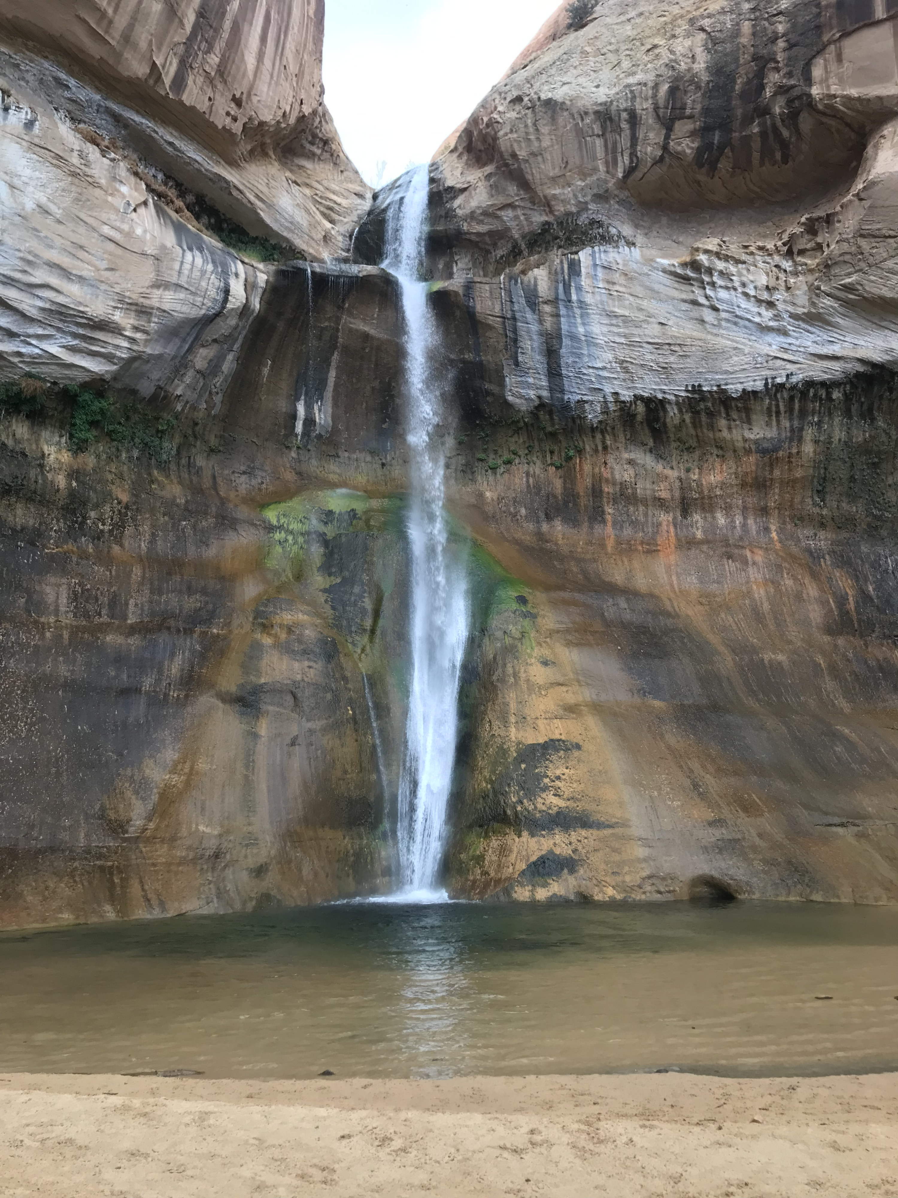 Trail Lower Calf Creek Falls Camping Lower Calf Creek Falls