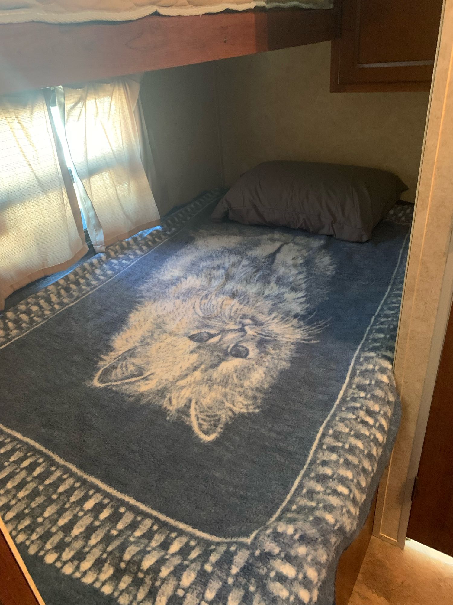 Cozy RV rental bunk bed featuring a blue wolf blanket & pillow. Sunlight streams through the window.. Prime Time Avenger 2013