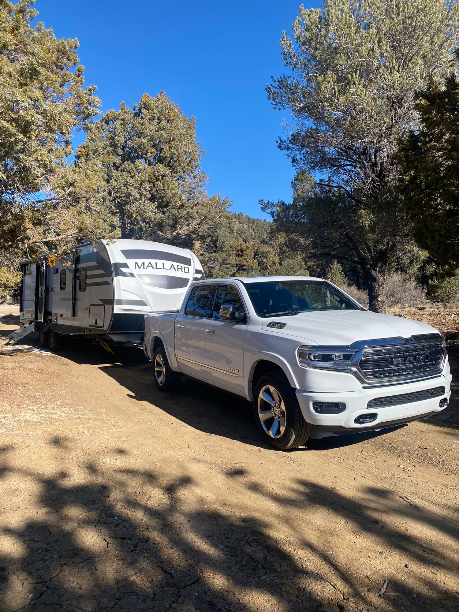 Travel trailer RV Rental 