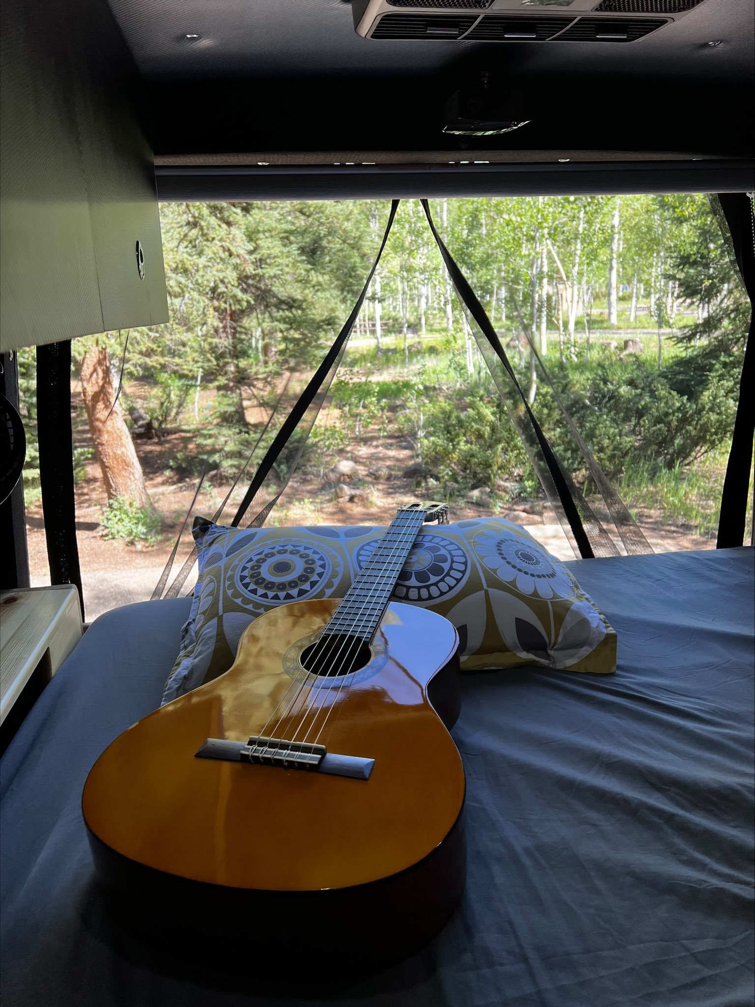 RV rental comfort: Guitar resting on bed, stunning forest view through the screen, perfect for a relaxing escape.. Mercedes-Benz Sprinter 2021