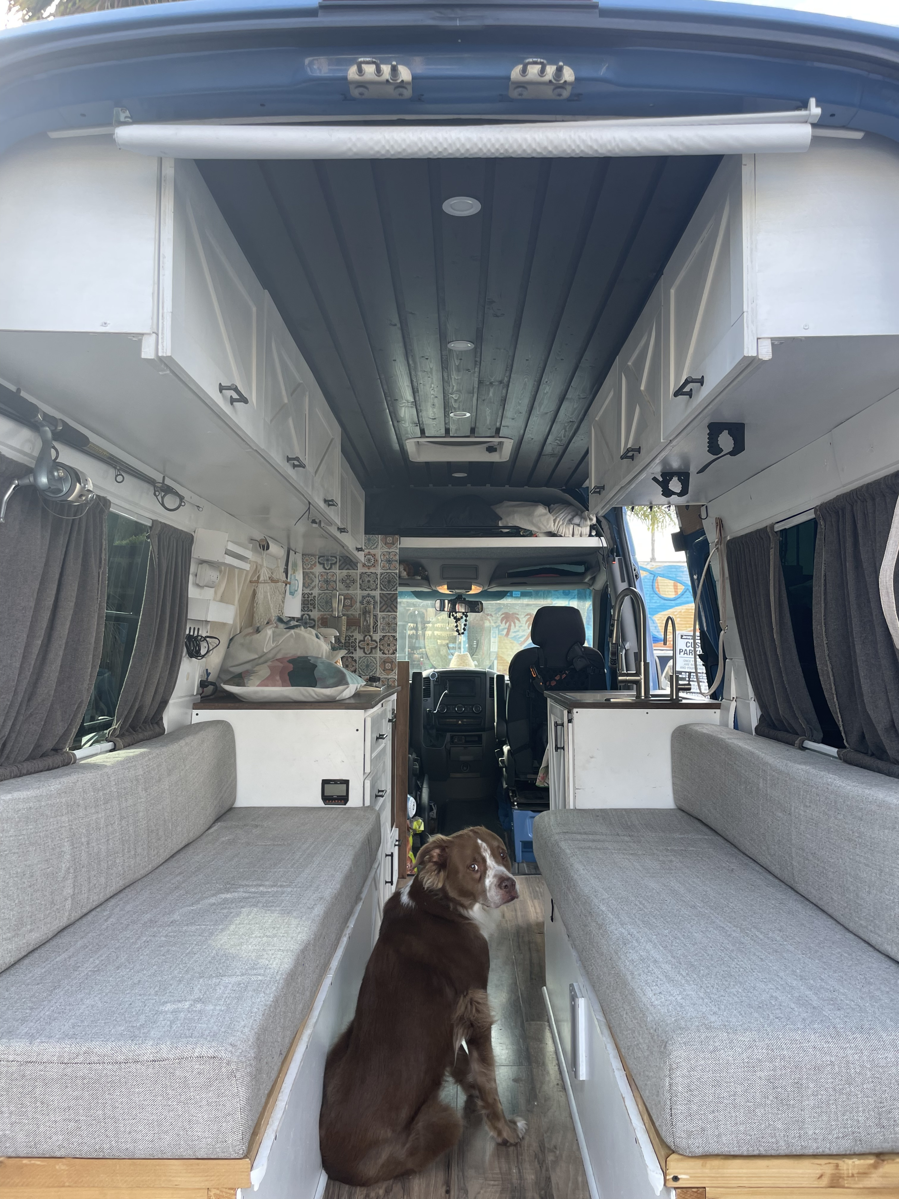 RV rental interior: A brown dog sits in the aisle, flanked by custom cabinetry, benches, and a kitchenette.. Mercedes-Benz Sprinter 2008