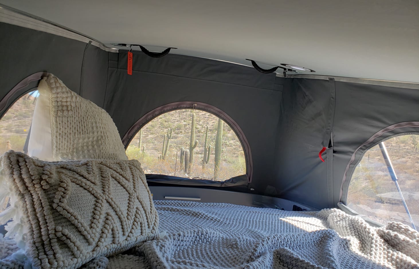 Relax in this RV rental! Cozy bed, pillows, and a breathtaking desert view with saguaro cacti.. Solis 59P solis 2022