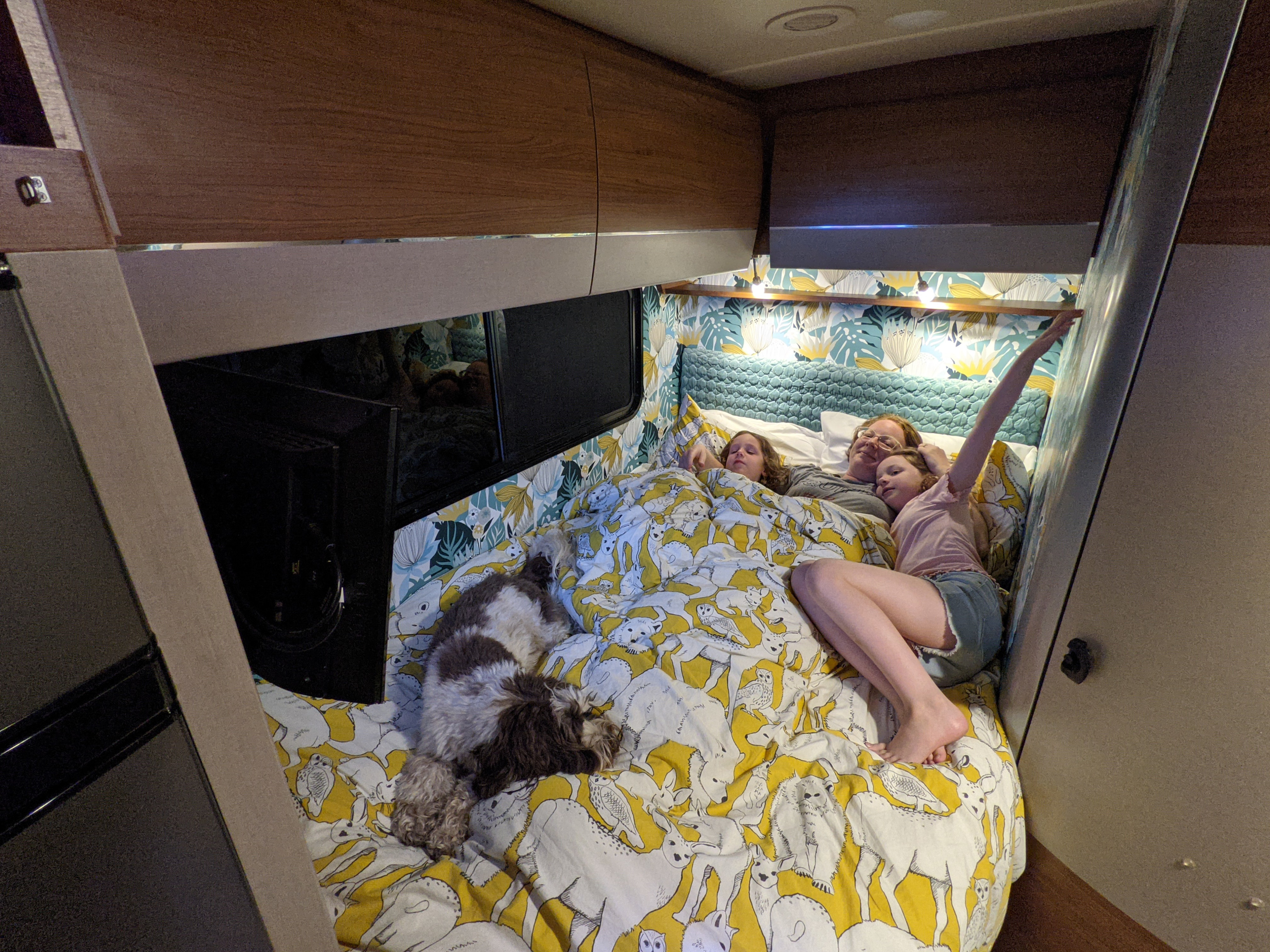 Cozy family and dog sleeping in a comfy RV rental. Relaxing retreat for your travels!. Winnebago Navion 2017