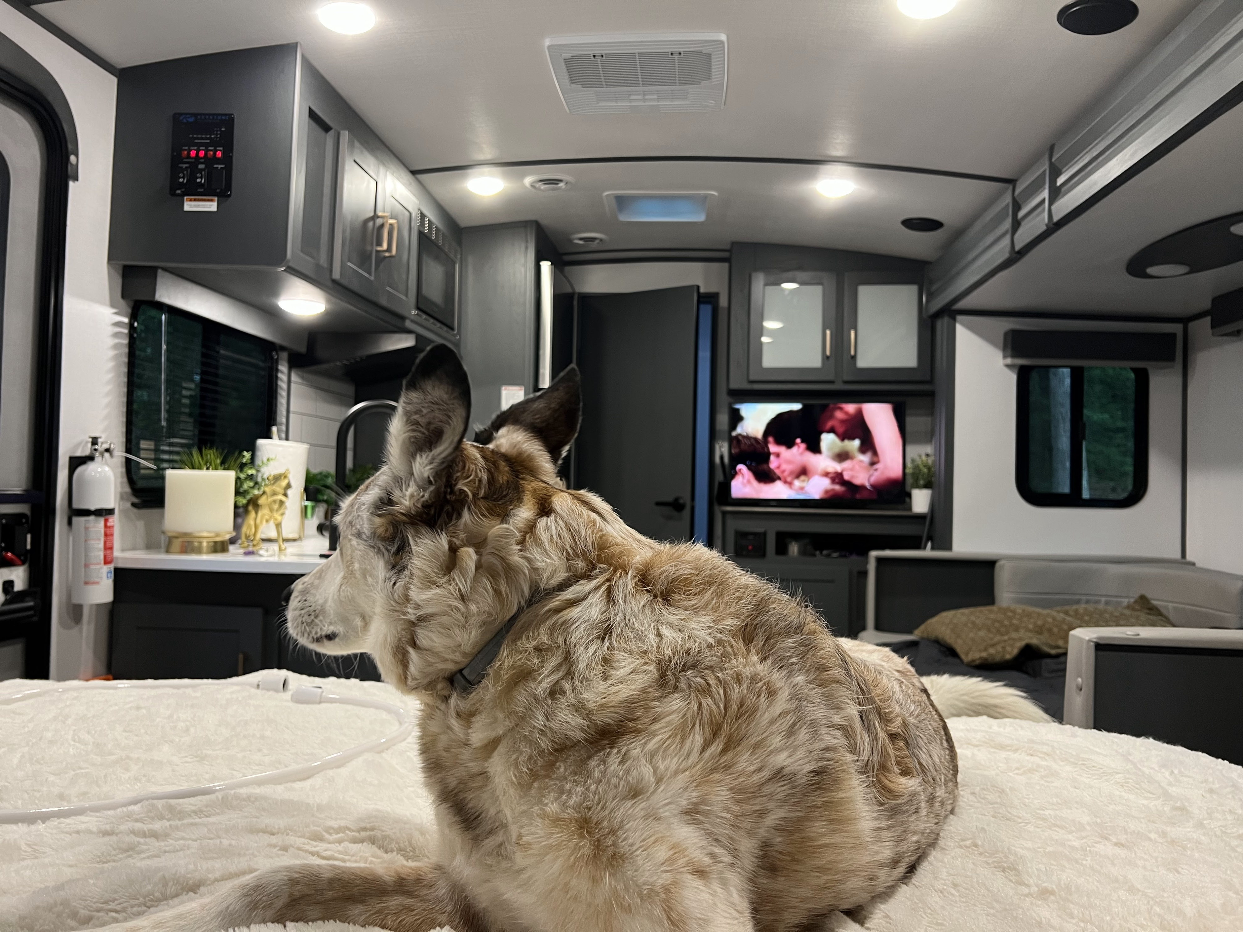 Keystone RV Bullet Premier Ultra Lite 2022