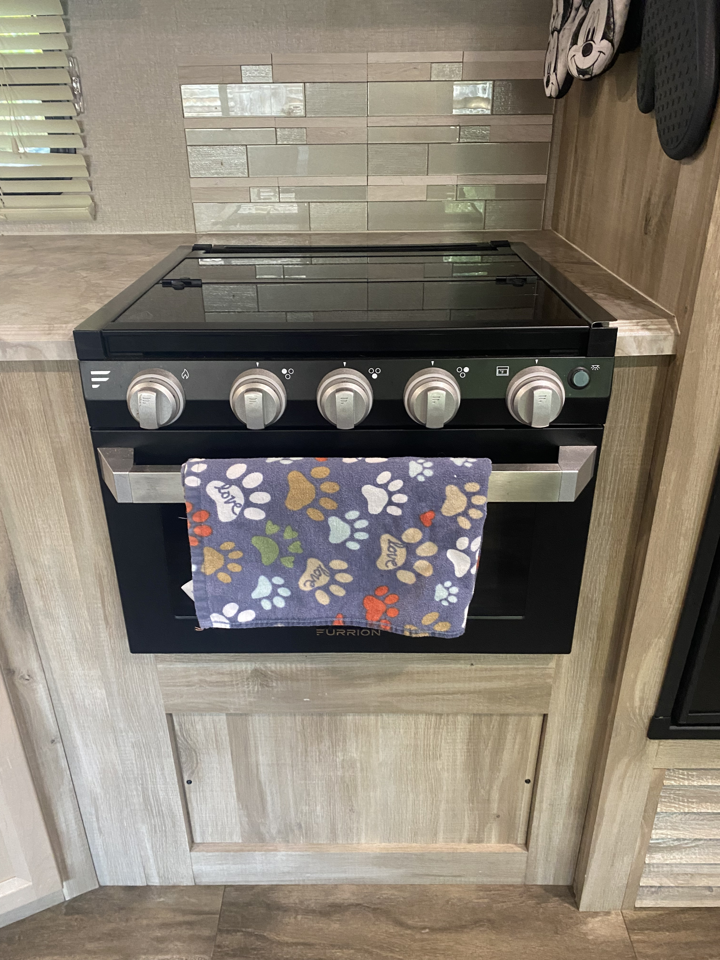 Travel trailer RV Rental 