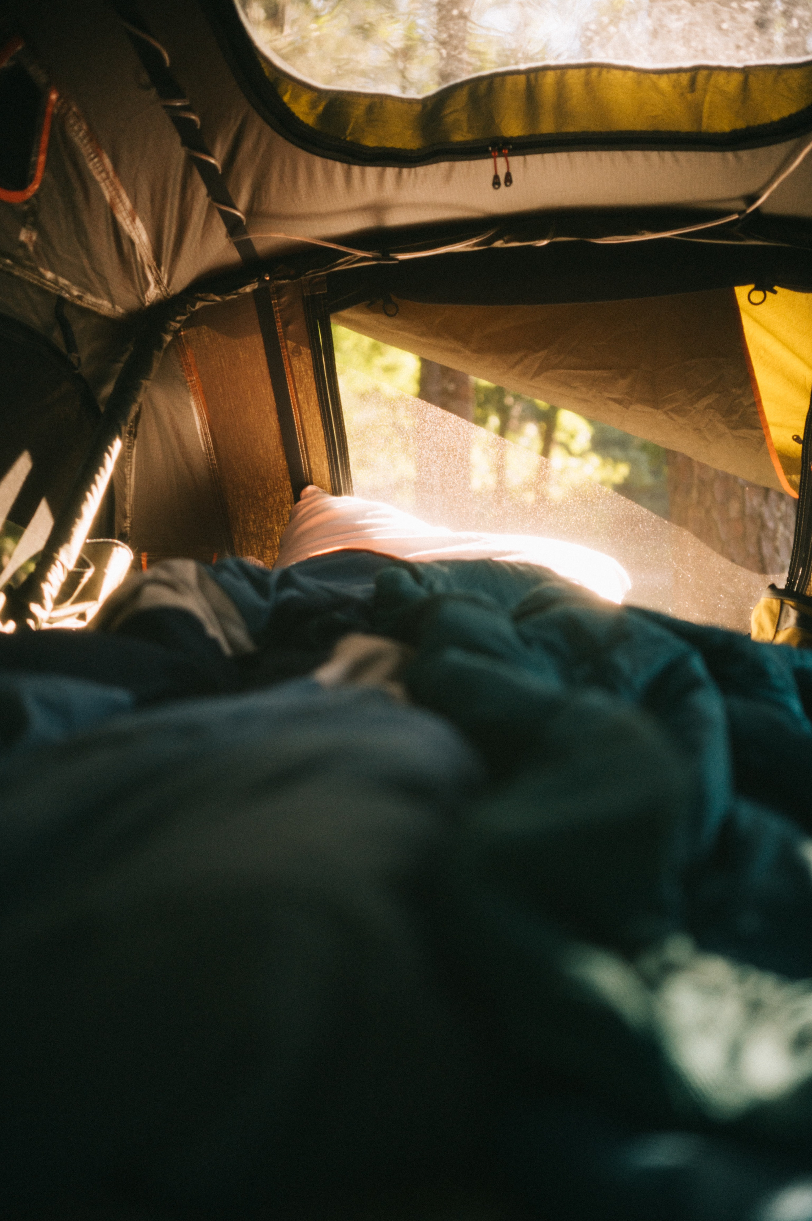 The cozy roof top tent comfortably fits two and a pet. You can also select to add on the guest awning attachment which fits another 2-3 people. . Taxa Outdoors Woolly Bear 2022