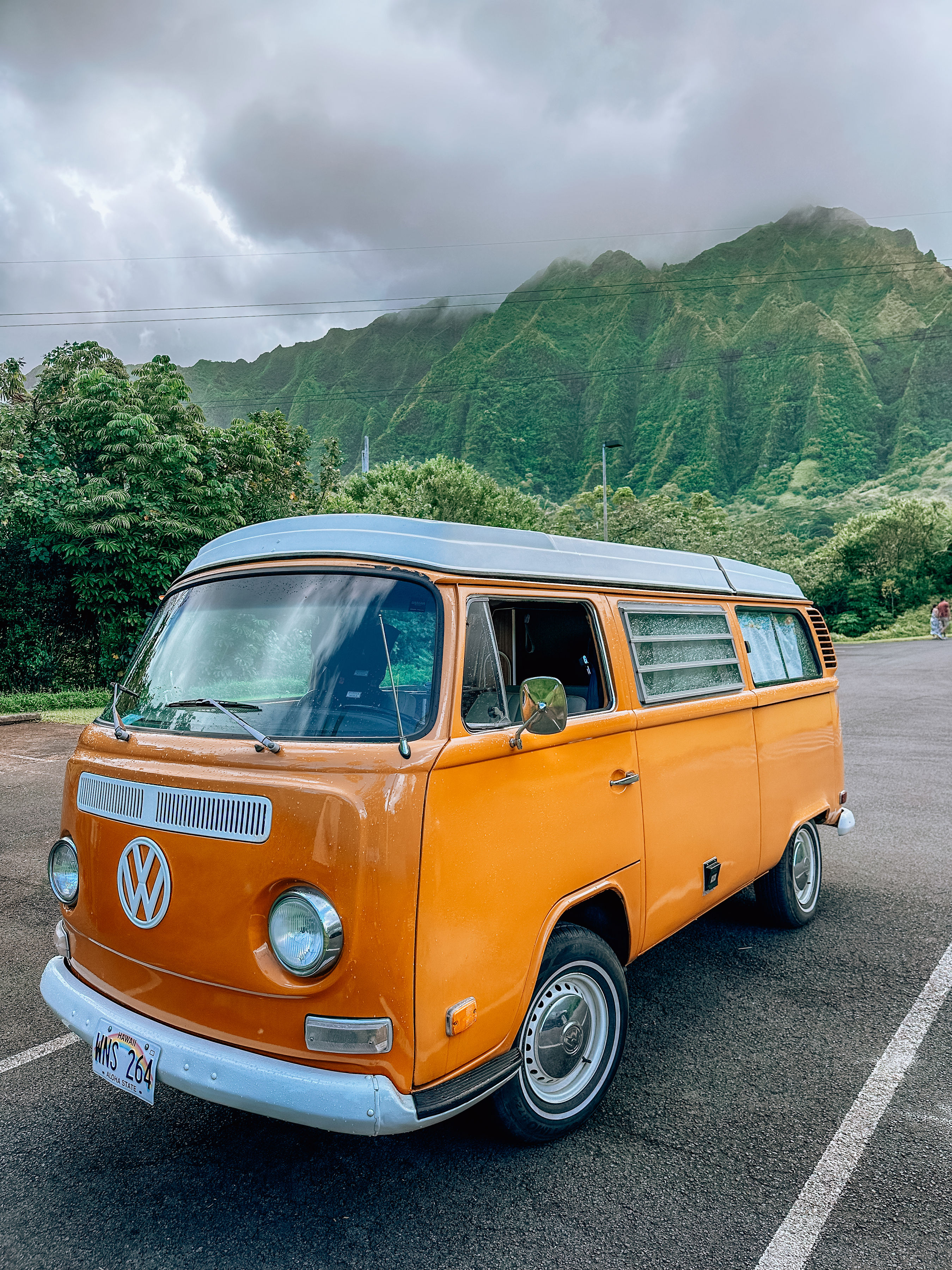 sho watanabe aloha vw bus 渡辺将 グリーンルームハワイ sho watanabe aloha vw bus 渡辺将 グリーンルームハワイ sho