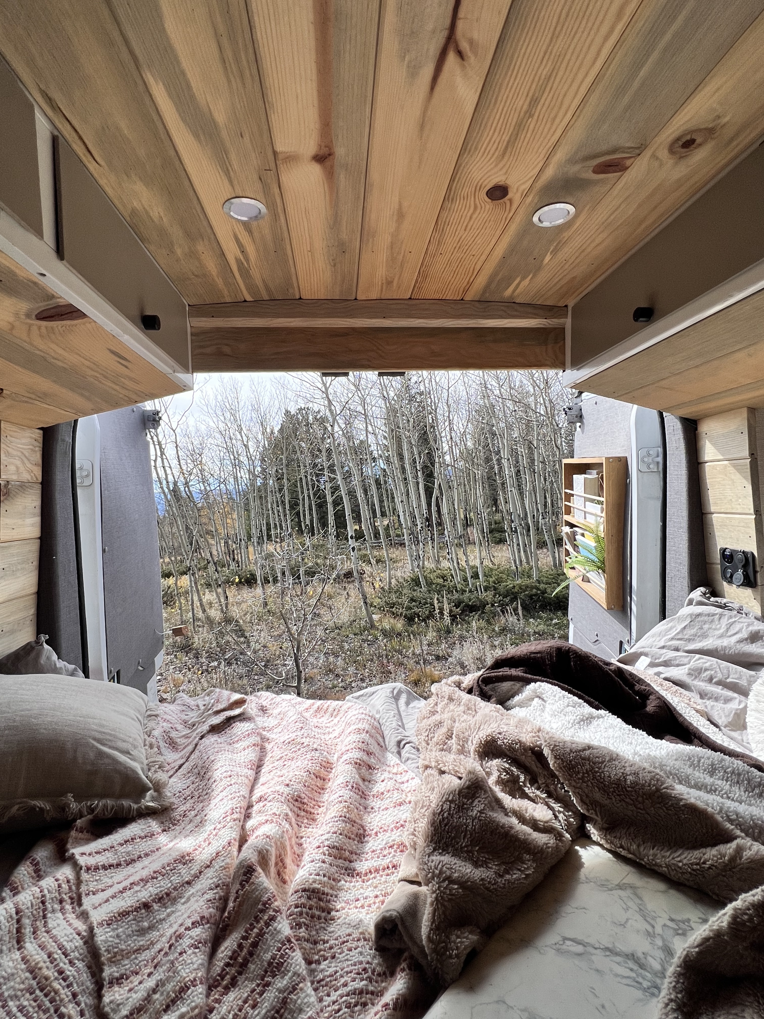 Cozy RV rental interior with a stunning view of an aspen forest from the comfy bed.. Ford Transit 2016