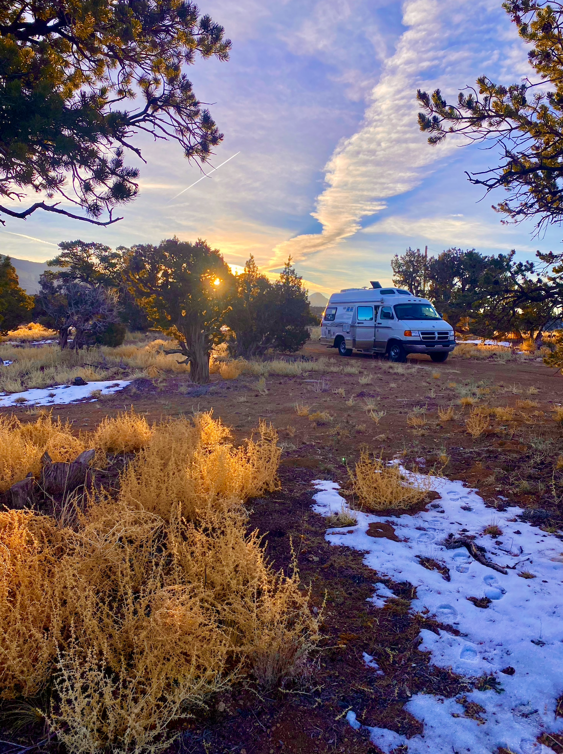 Owner Banner