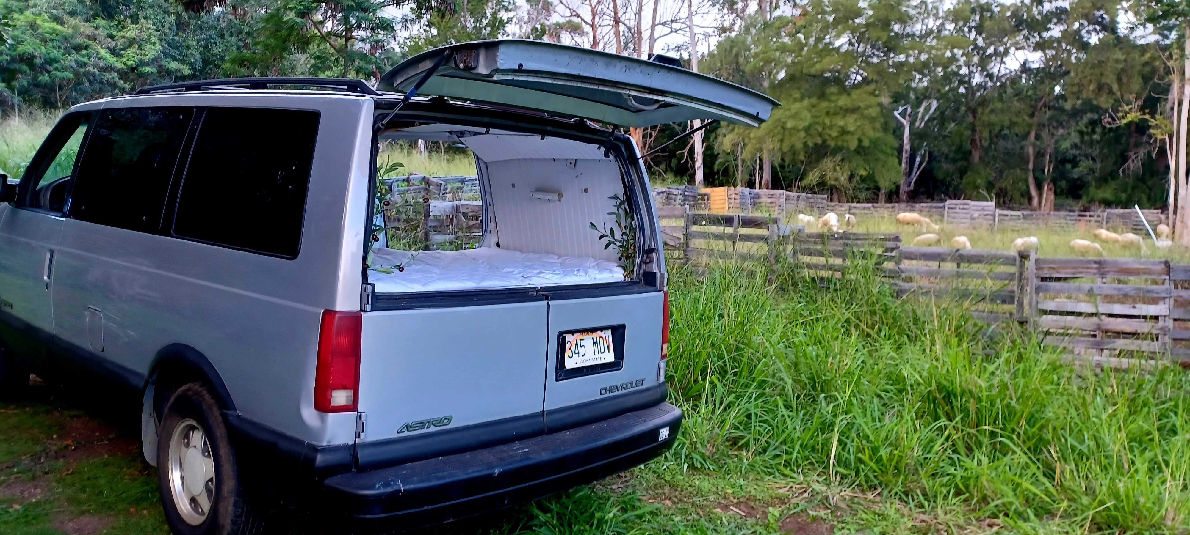 This silver Chevrolet Astro camper van, a perfect rv rental, shows its open back with a bed, next to a sheep pasture.. Chevrolet Astro 2000