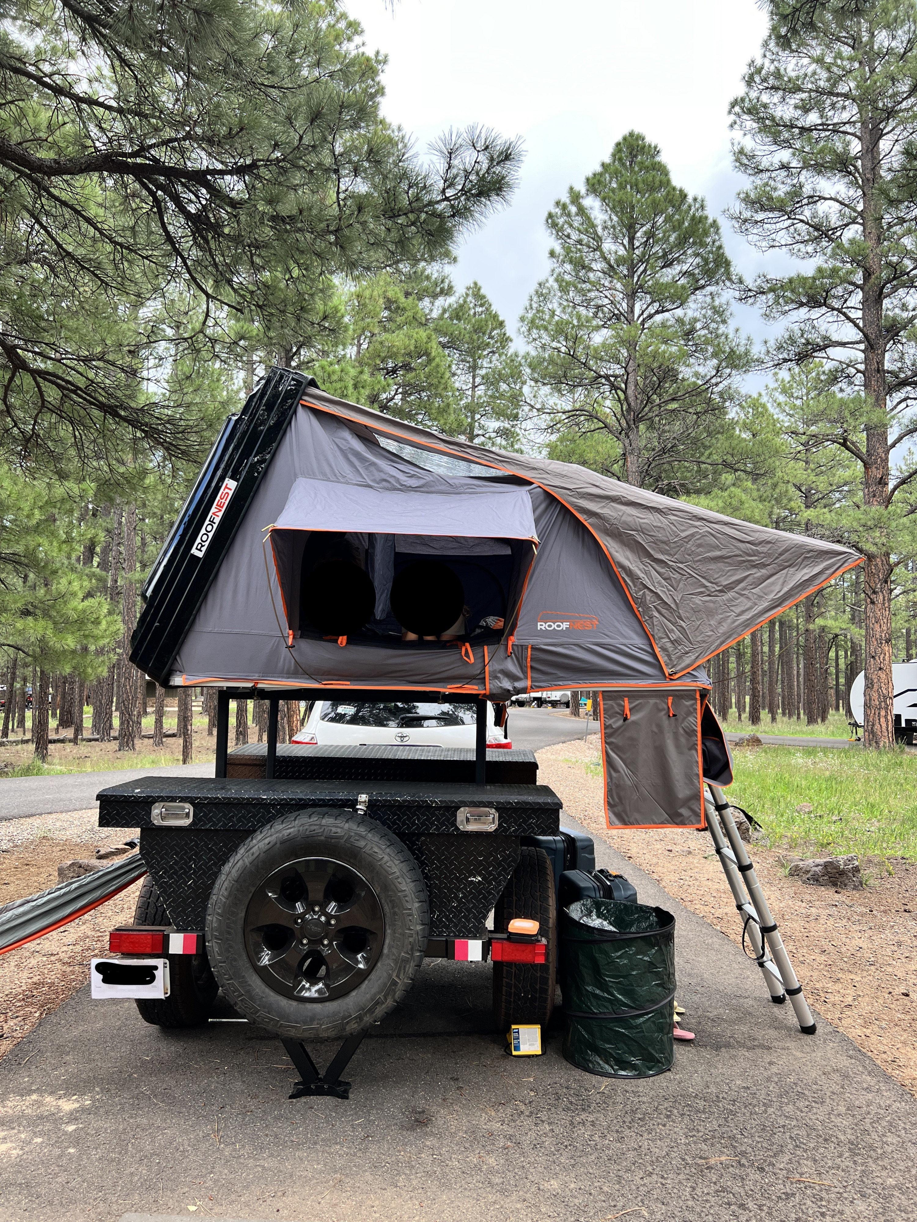 A ROOFNEST rooftop tent on a black utility trailer serves as a compact RV rental option, set up among tall pines for a serene camp.. Ady ORT 2022