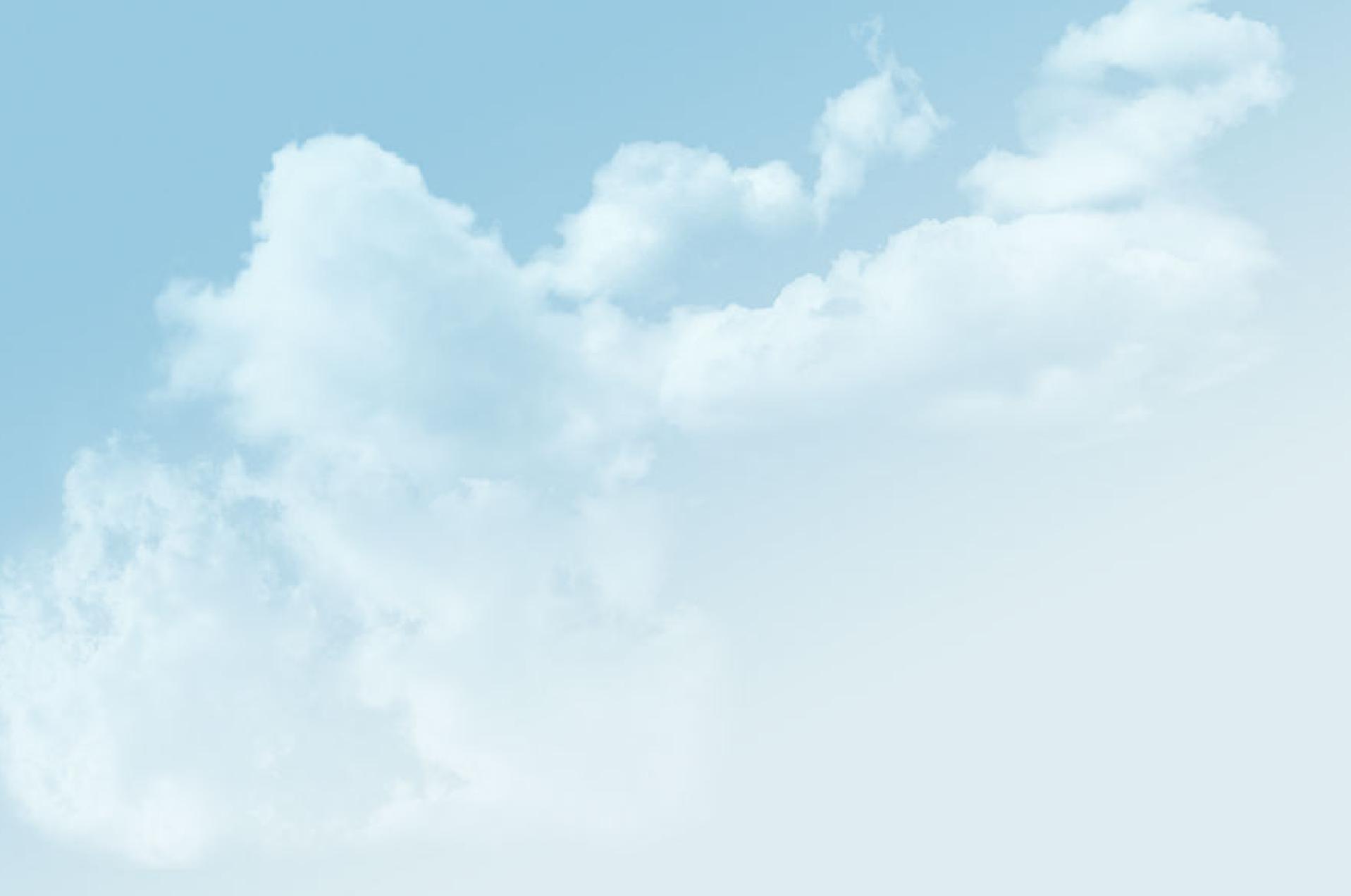 Owner Banner