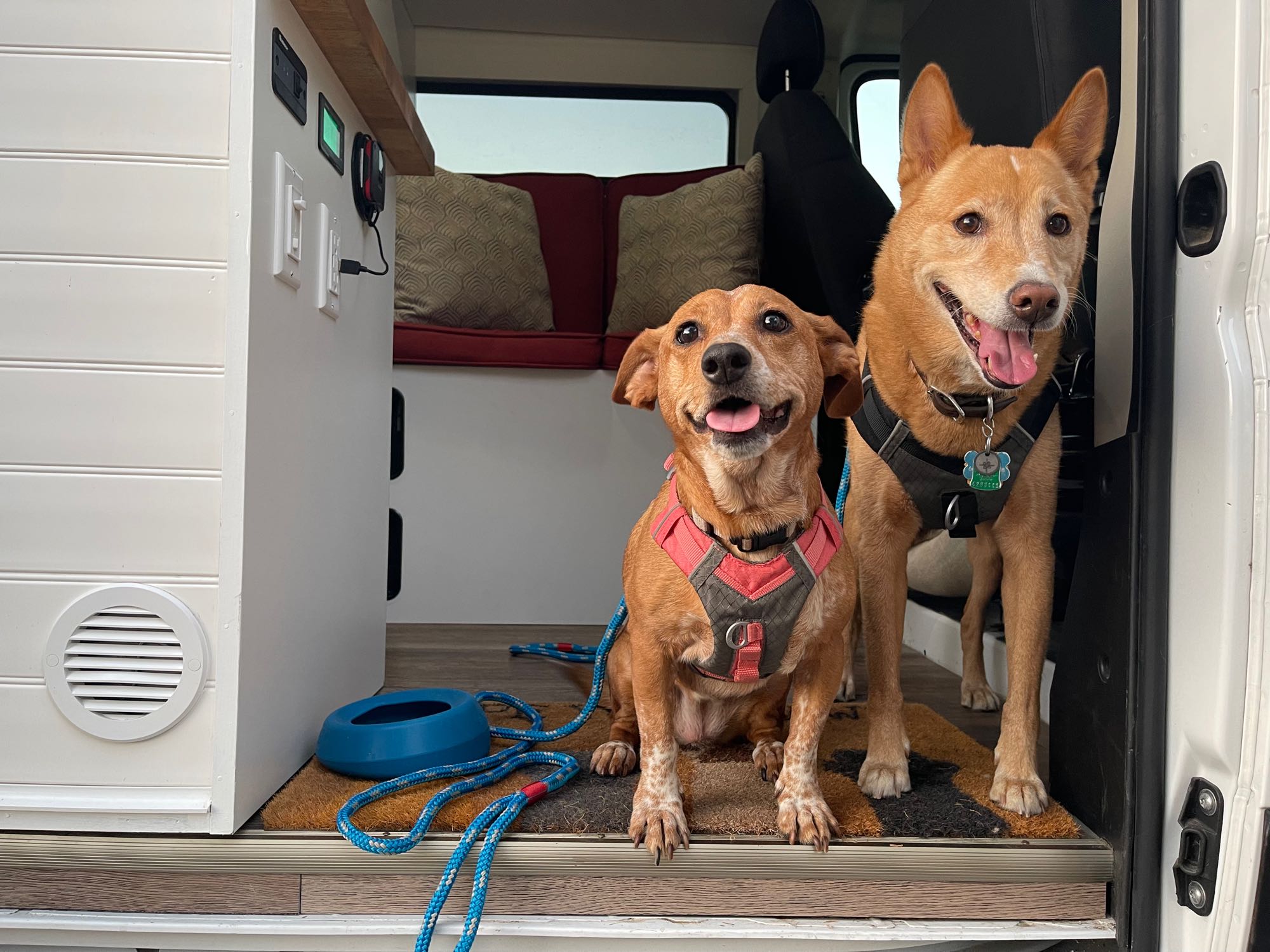 Camper van RV Rental 