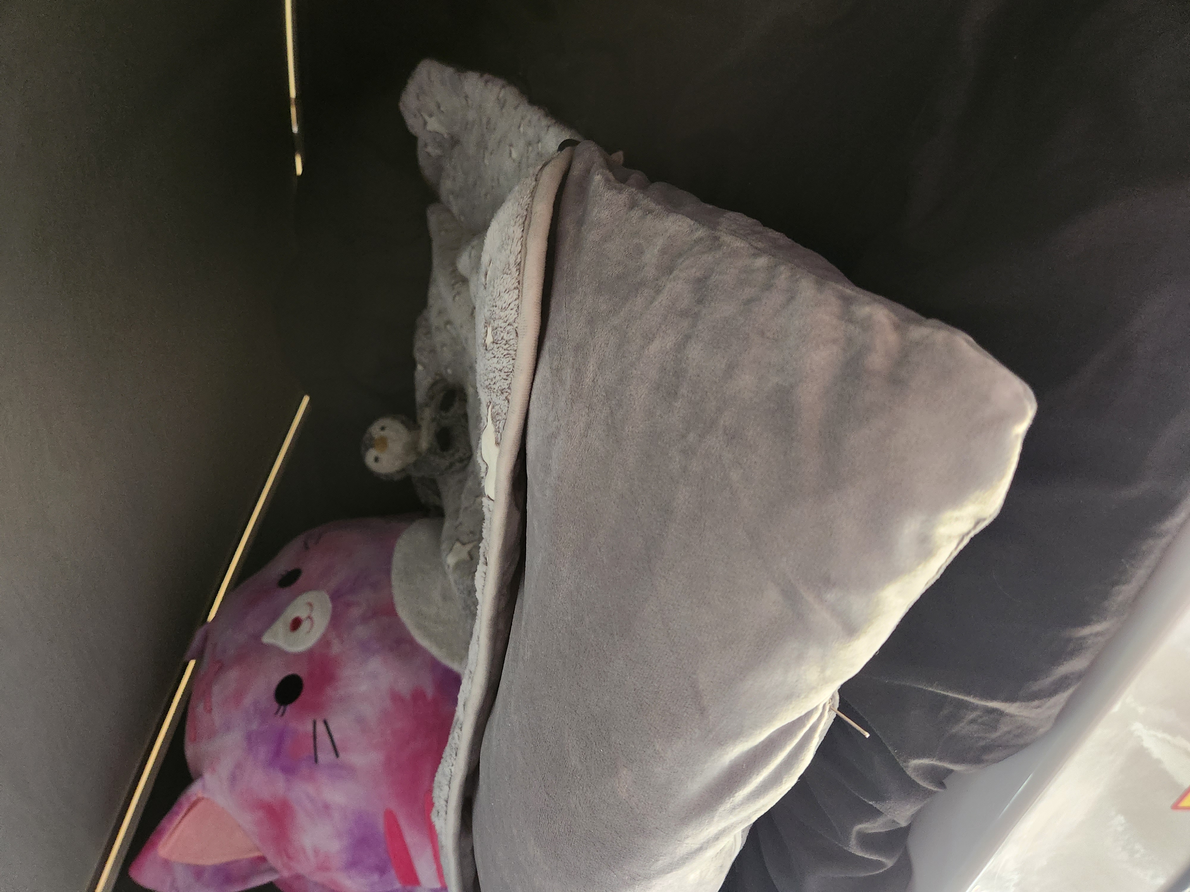 Cozy RV rental interior: pink Squishmallow, plush pillows, and a small penguin. Ready for a comfortable journey.. Winnebago Solis 2023