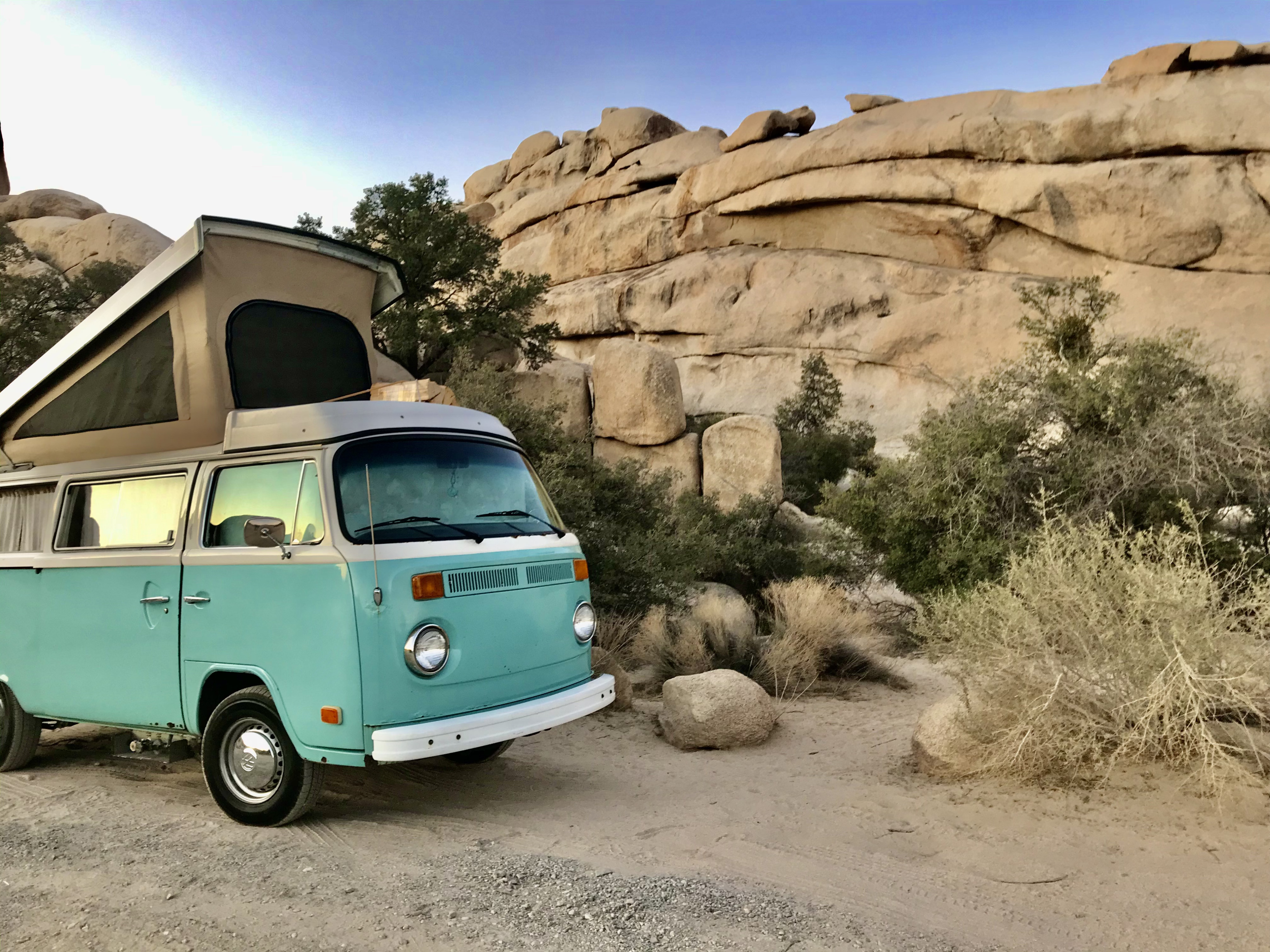 1979 VW Volkswagen Westfalia AUTOMATIC Camper van Rental in Costa