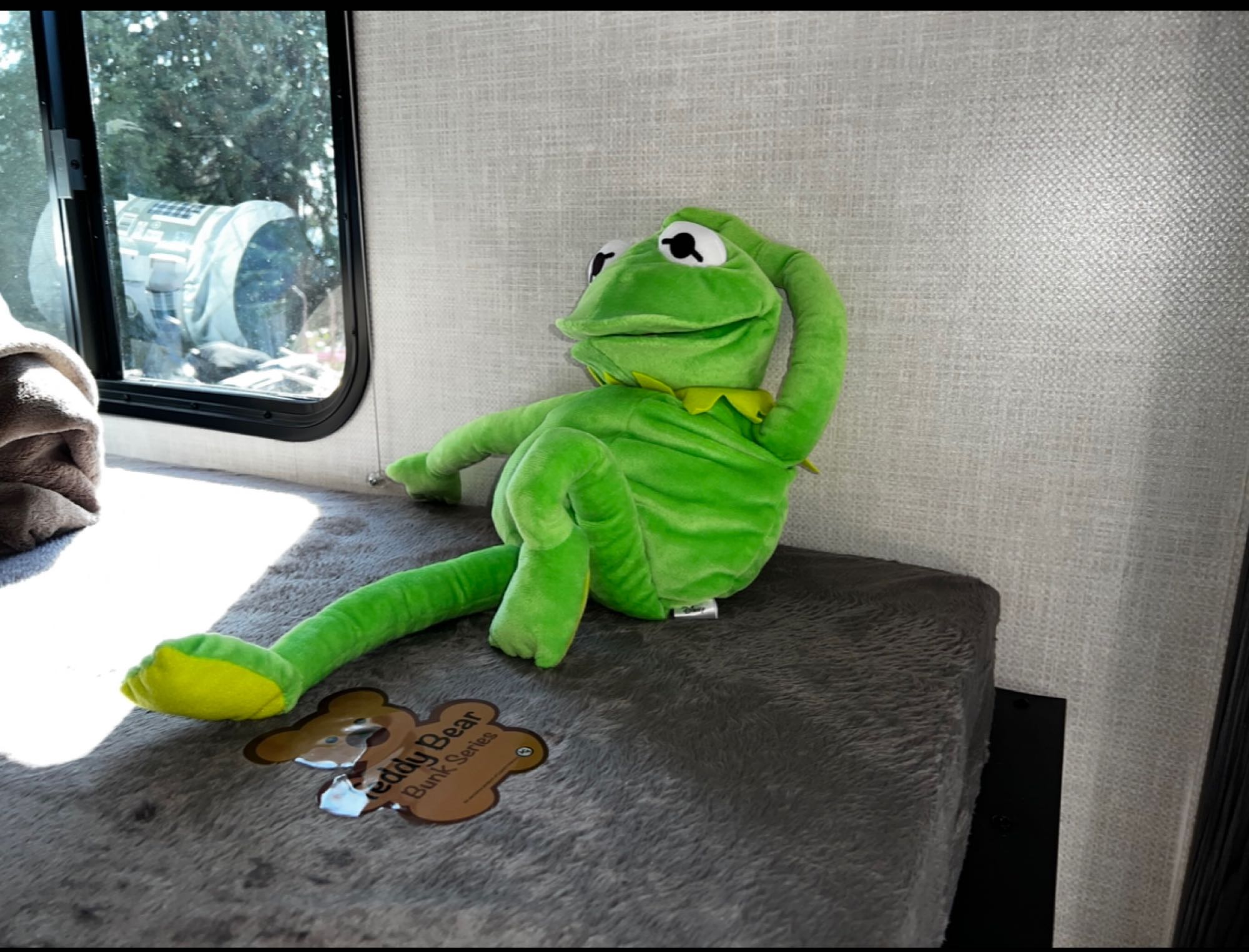 Kermit the Frog plush on a fuzzy bunk bed in an RV rental. Cozy interior with a window view, great for travel.. Forest River R POD 193 H.R. EDITION 2022