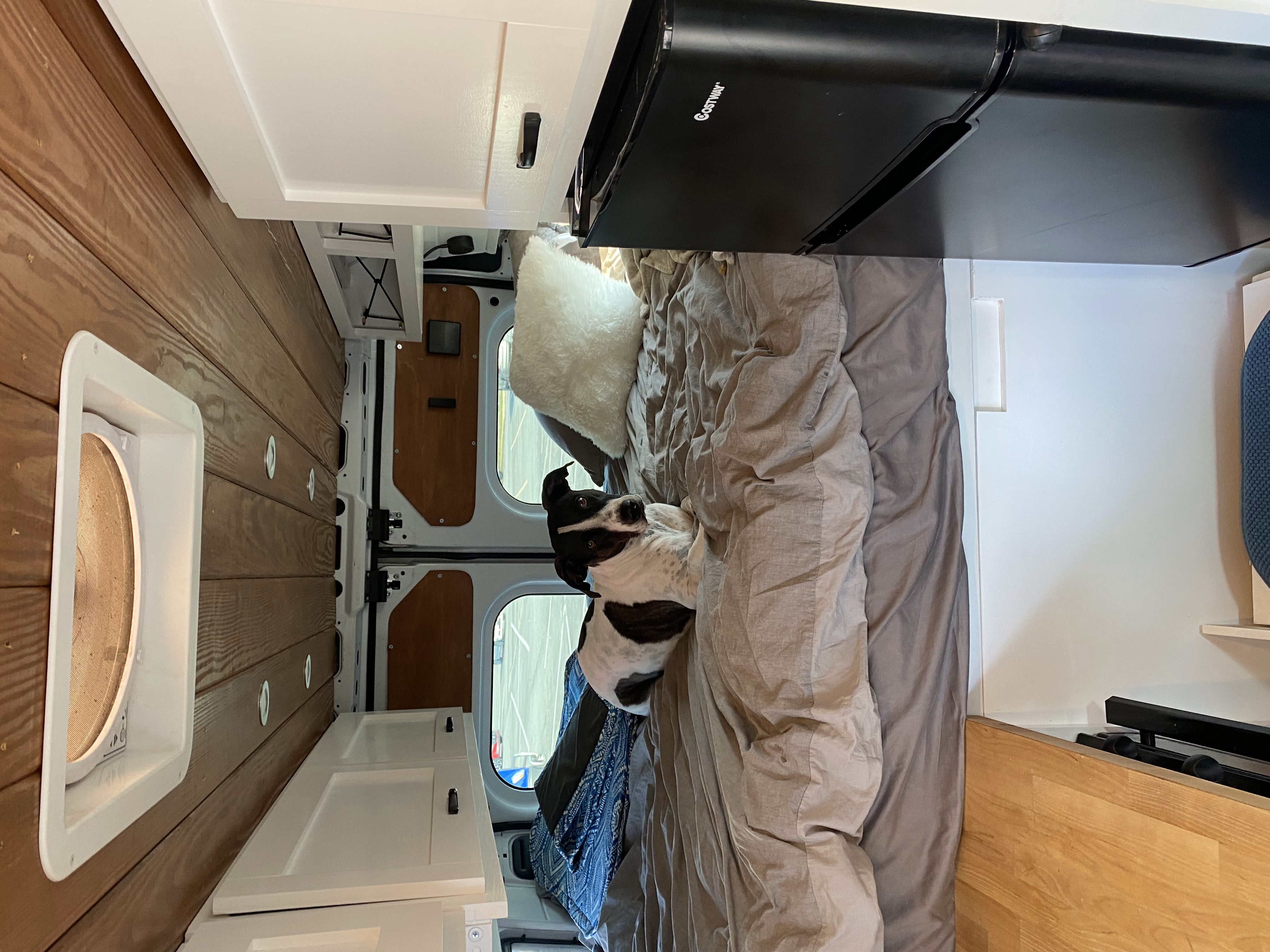 RV rental: van interior with dog on bed, wood paneling, white cabinets, & black mini-fridge.. Other Other 2019