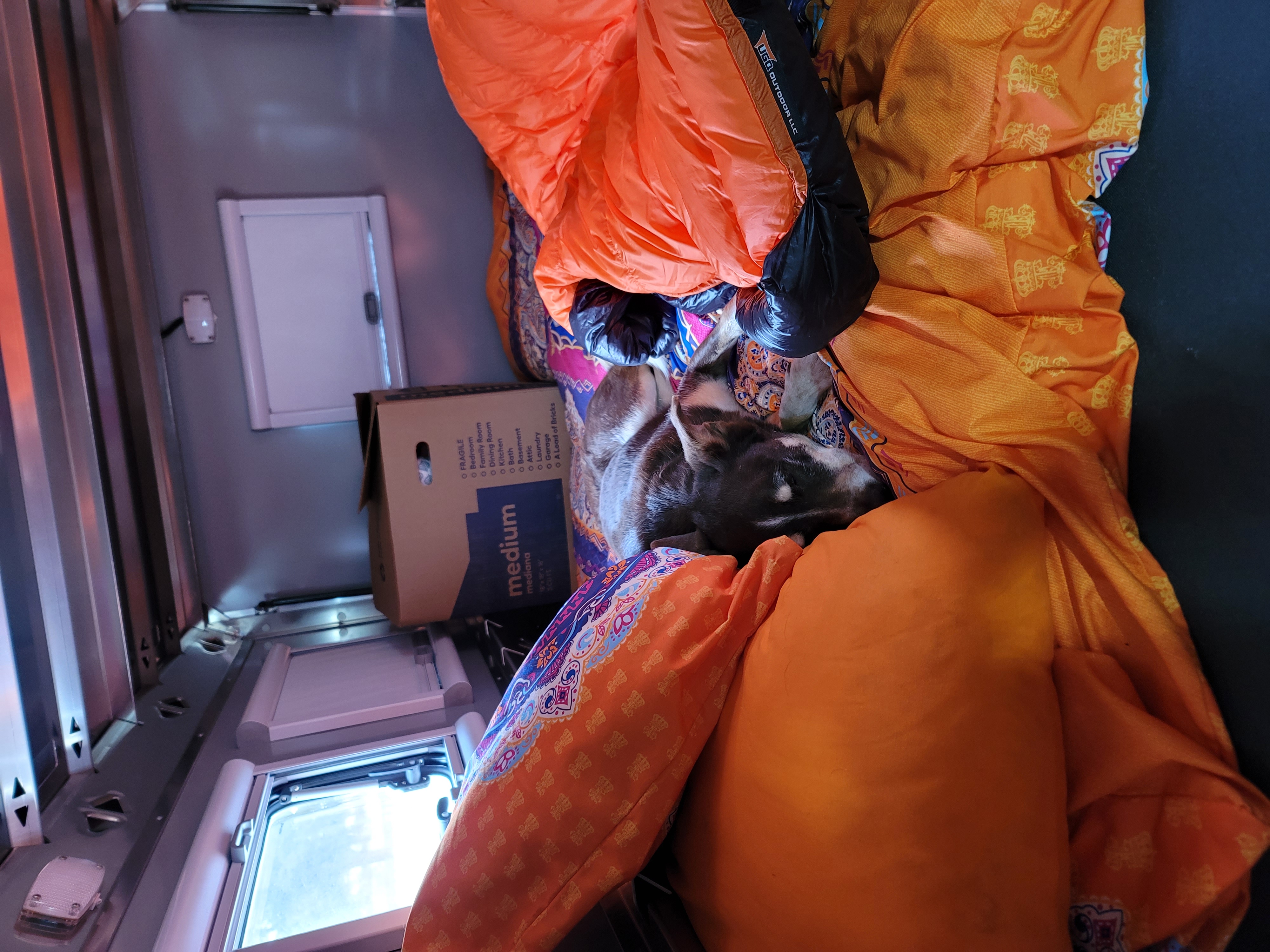 Inside an RV rental, a husky rests comfortably with colorful blankets and a sleeping bag. A moving box is nearby.. Antishanty AS-1 plus 2023