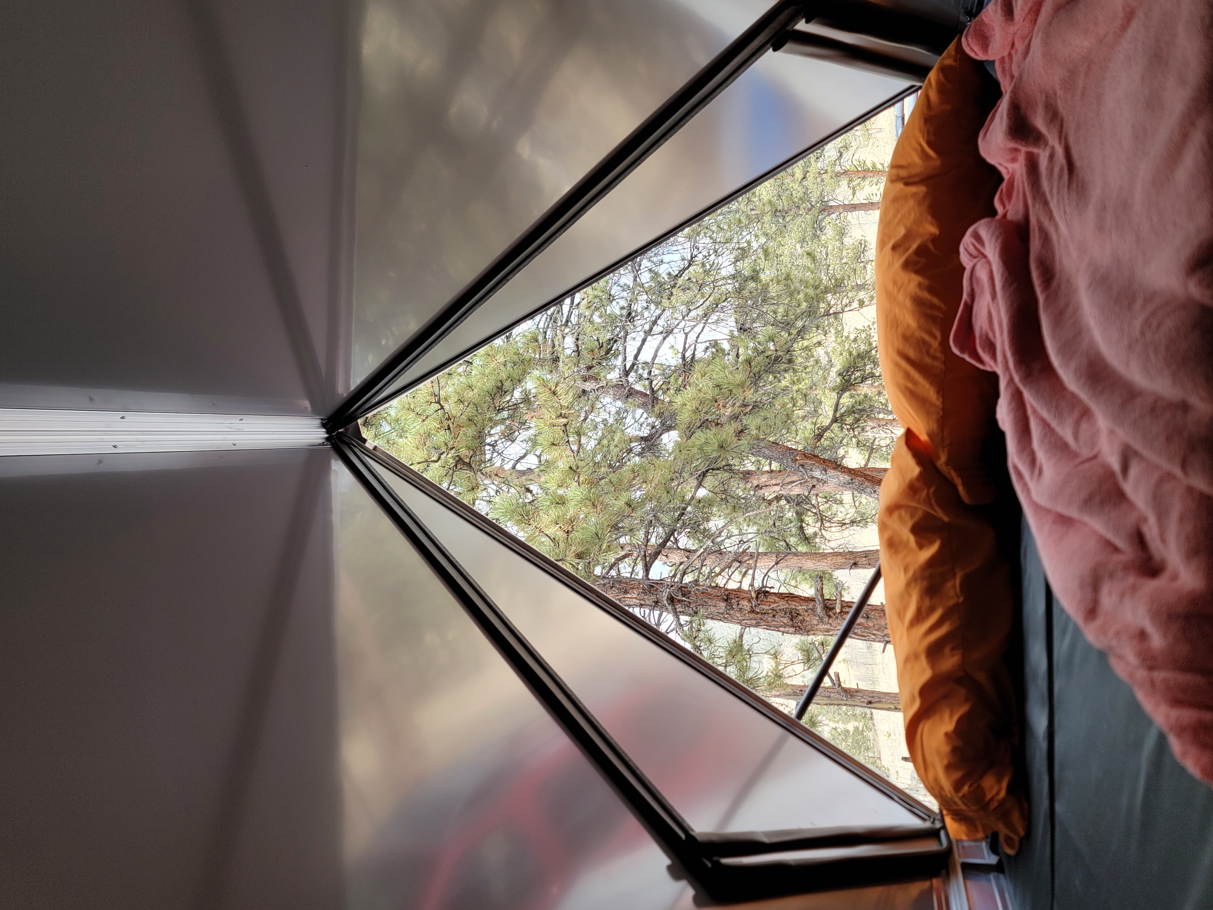 Inside an RV rental: a peaceful view of pine trees through the window, with cozy bedding visible.. Antishanty AS-1 plus 2023