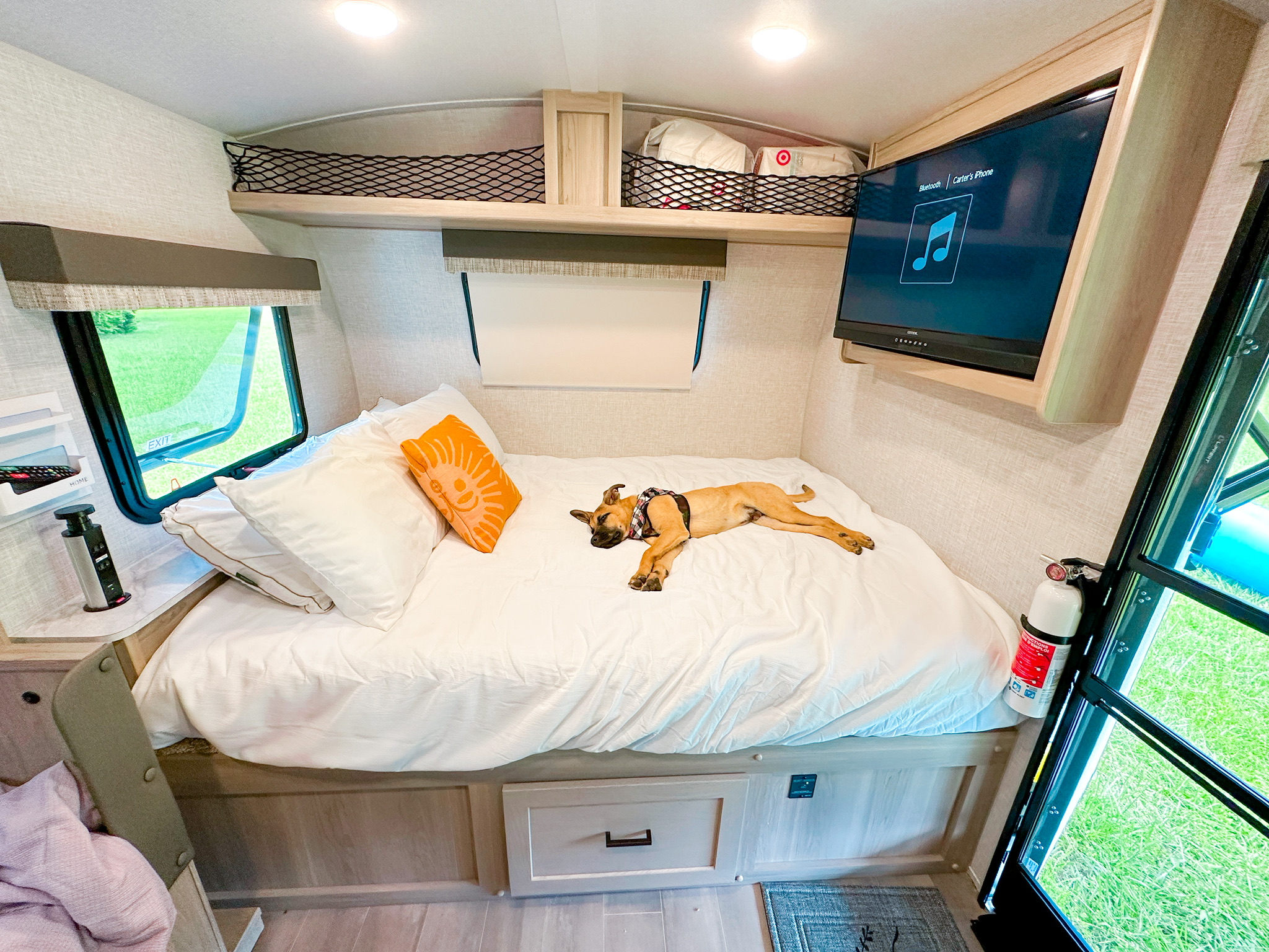 Cozy RV rental interior with a sleeping dog on a compact bed, featuring a TV, window, and overhead storage for comfortable travel.. Forest River Flagstaff E-Pro 2023