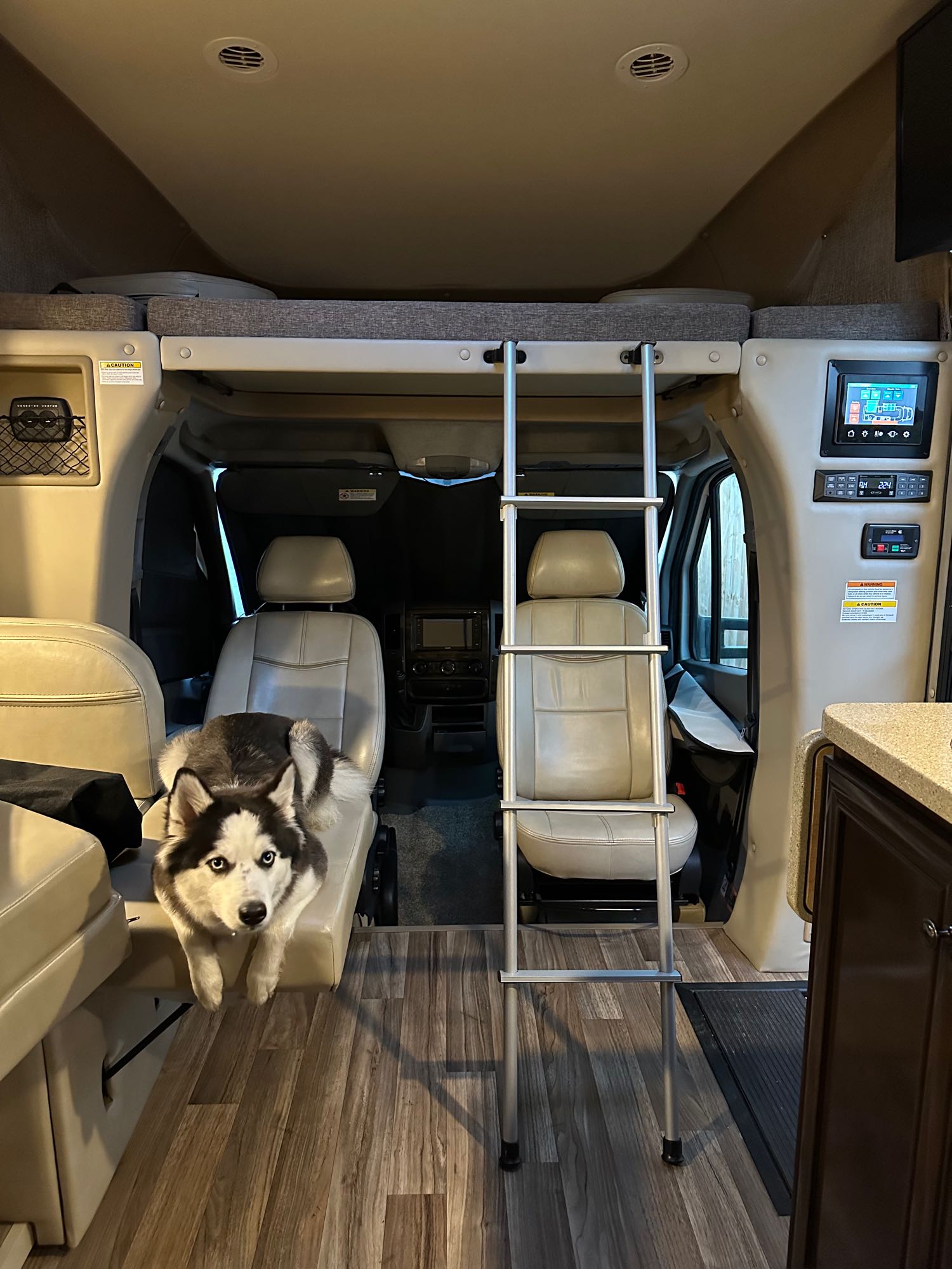 Spacious pet-friendly RV rental interior with a cute husky dog resting, showing the overhead bunk and cockpit area.. Thor Synergy 2018