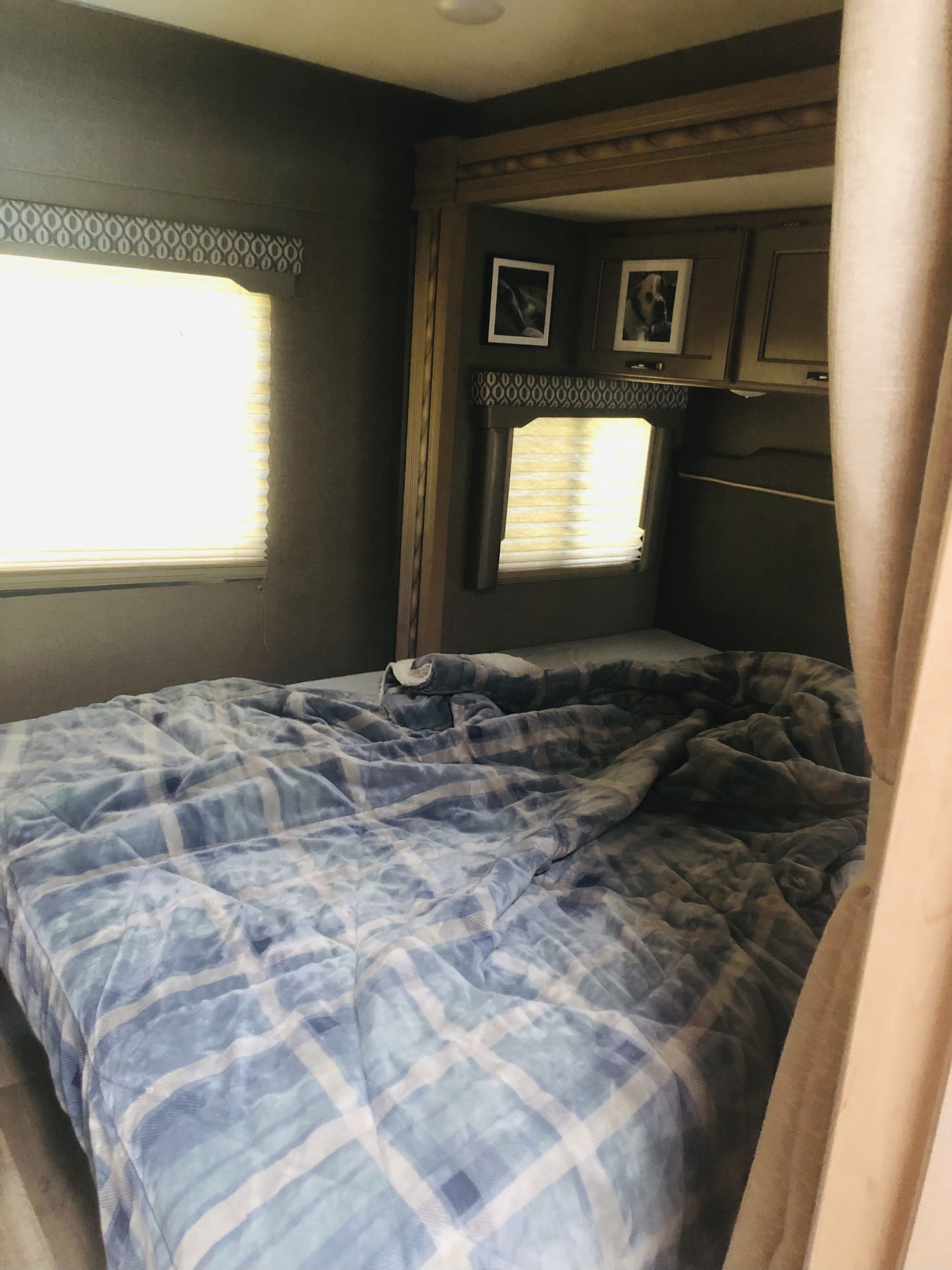 Cozy RV rental bedroom: blue plaid comforter on bed, two windows with blinds, framed pictures, and wood trim.. Thor Freedom Elite 2019