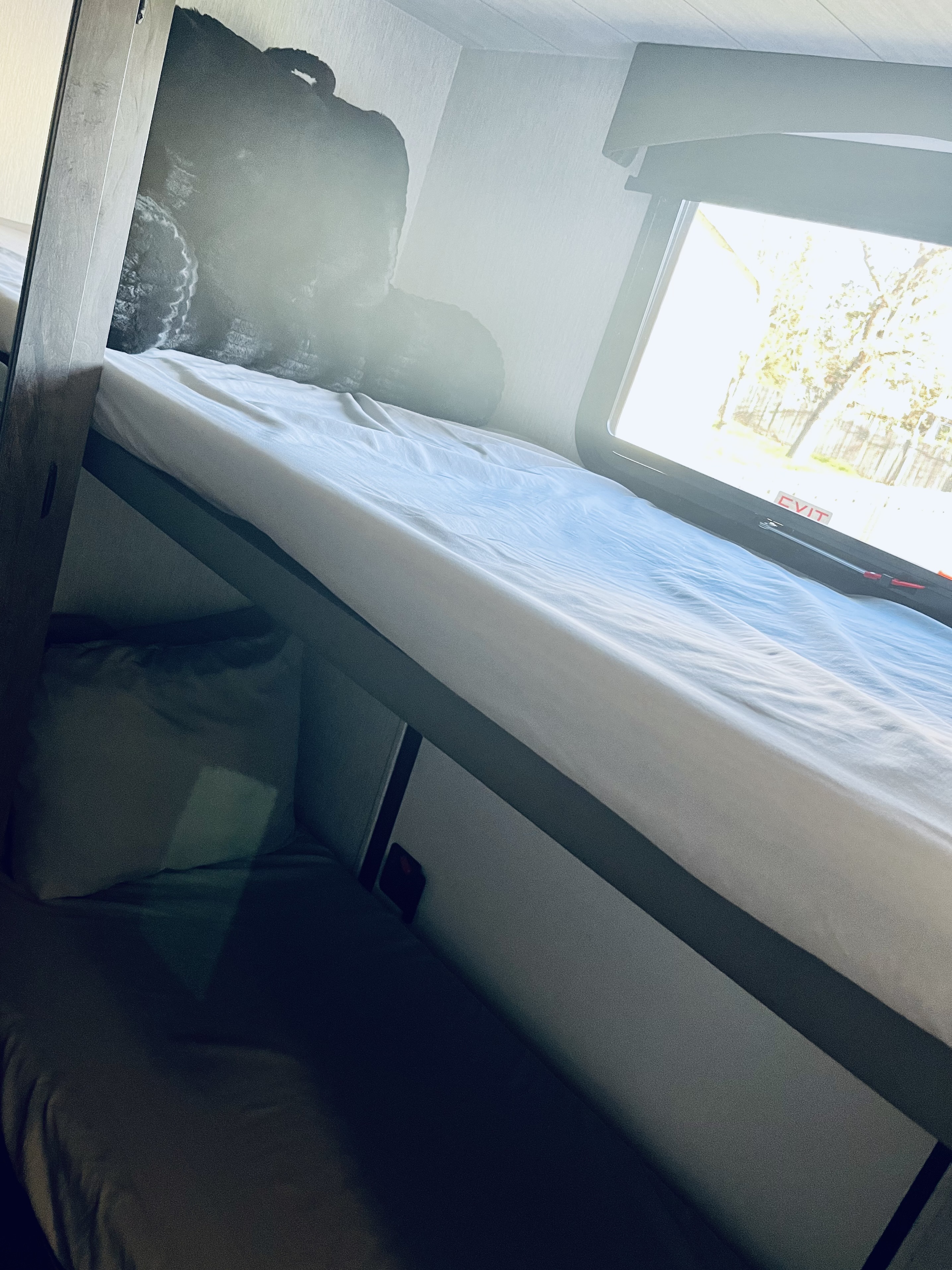 RV rental interior: top bunk with white sheets, bottom bunk below, and an exit window with outdoor view.. Forest River EVO T2990 2022