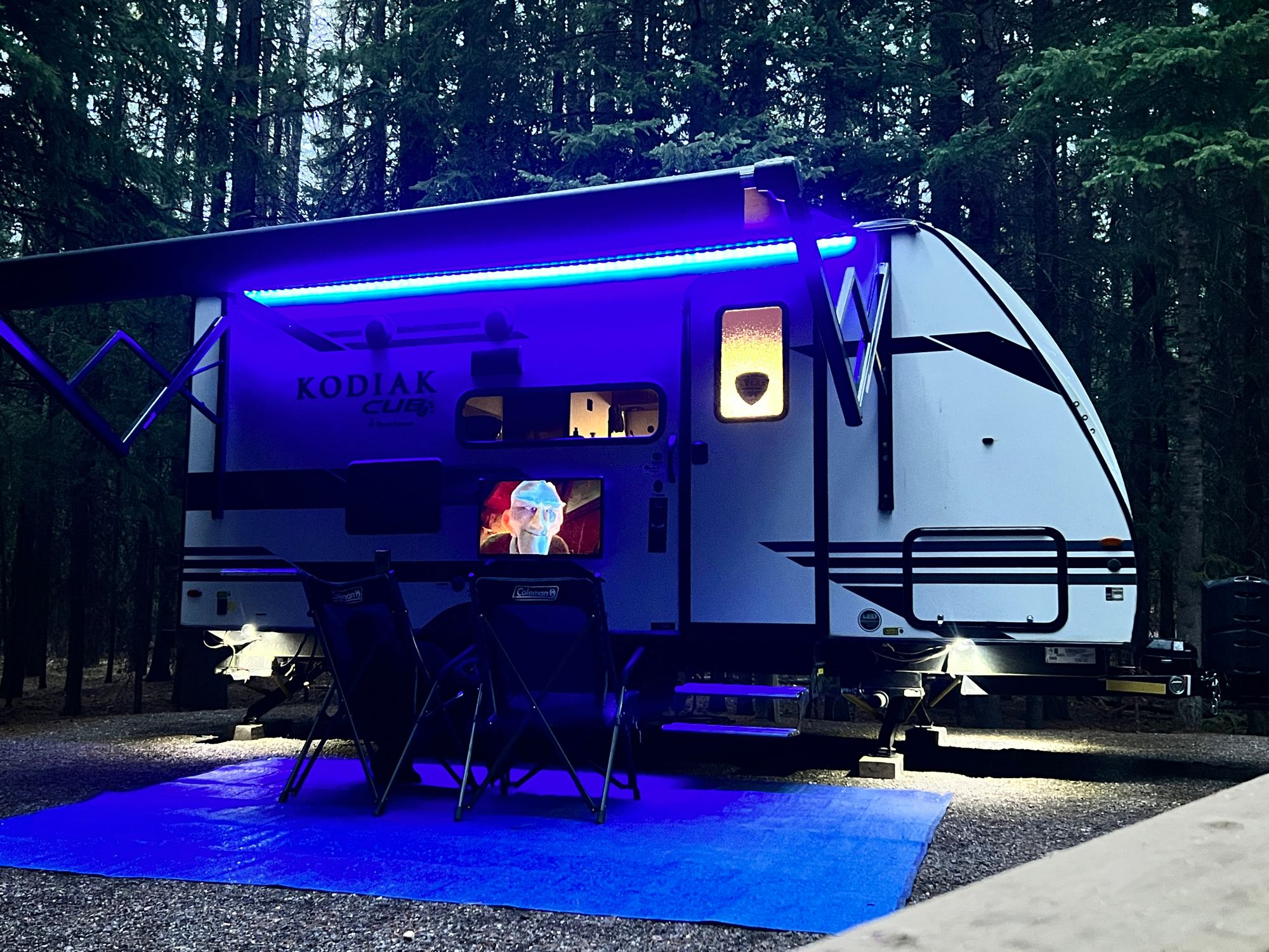 2021 User-Friendly Kodiak Cub