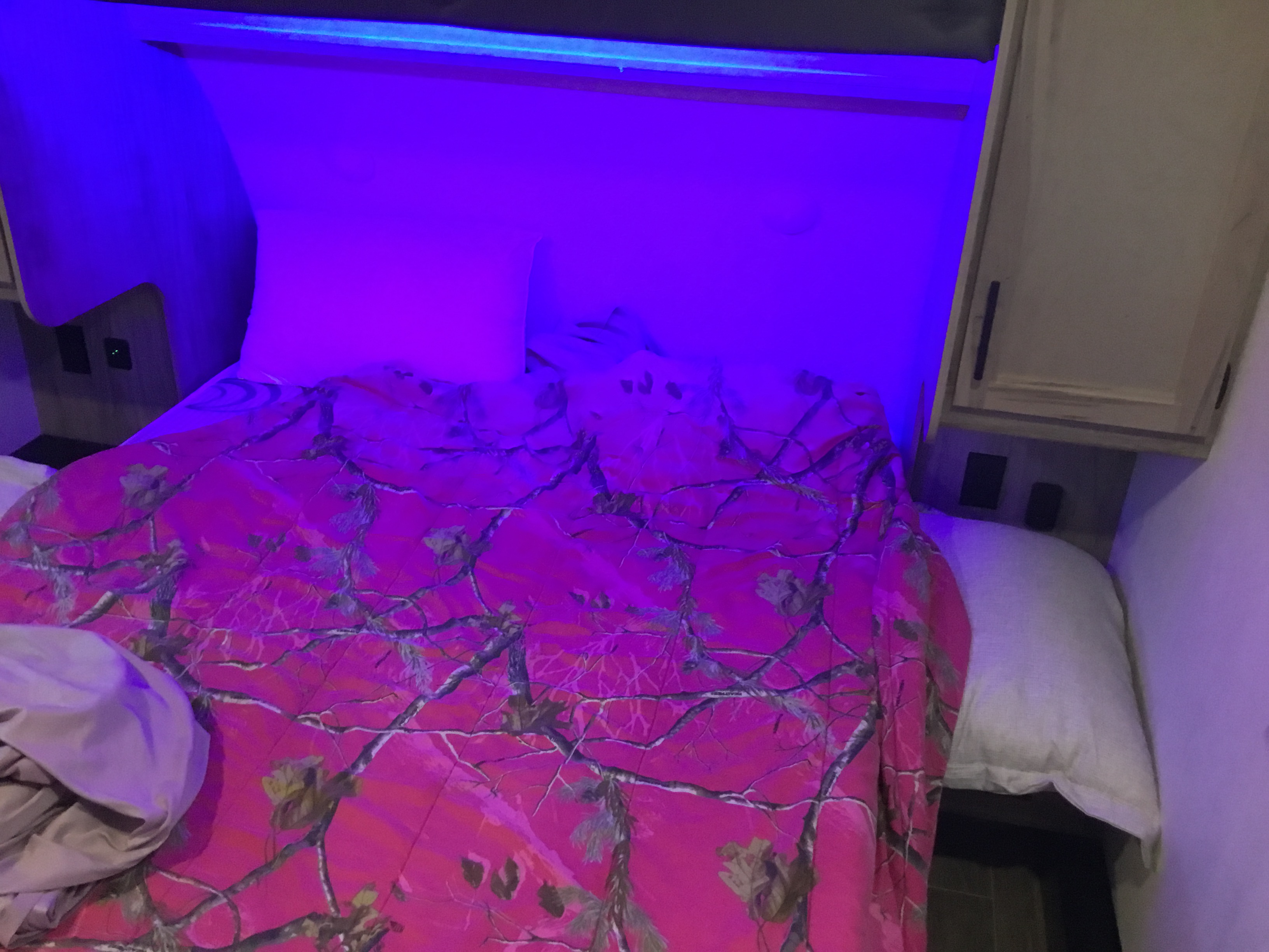 RV rental: Cozy compact sleeping area featuring a pink camouflage bed and blue accent lighting.. Forest River Arctic wolf 325 MB 2023